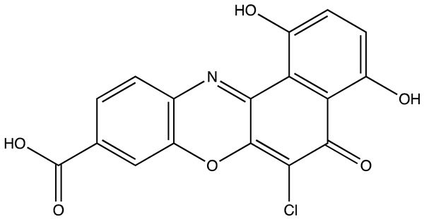 Cancers 16 03502 i002