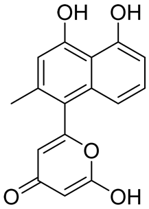 Cancers 16 03502 i029