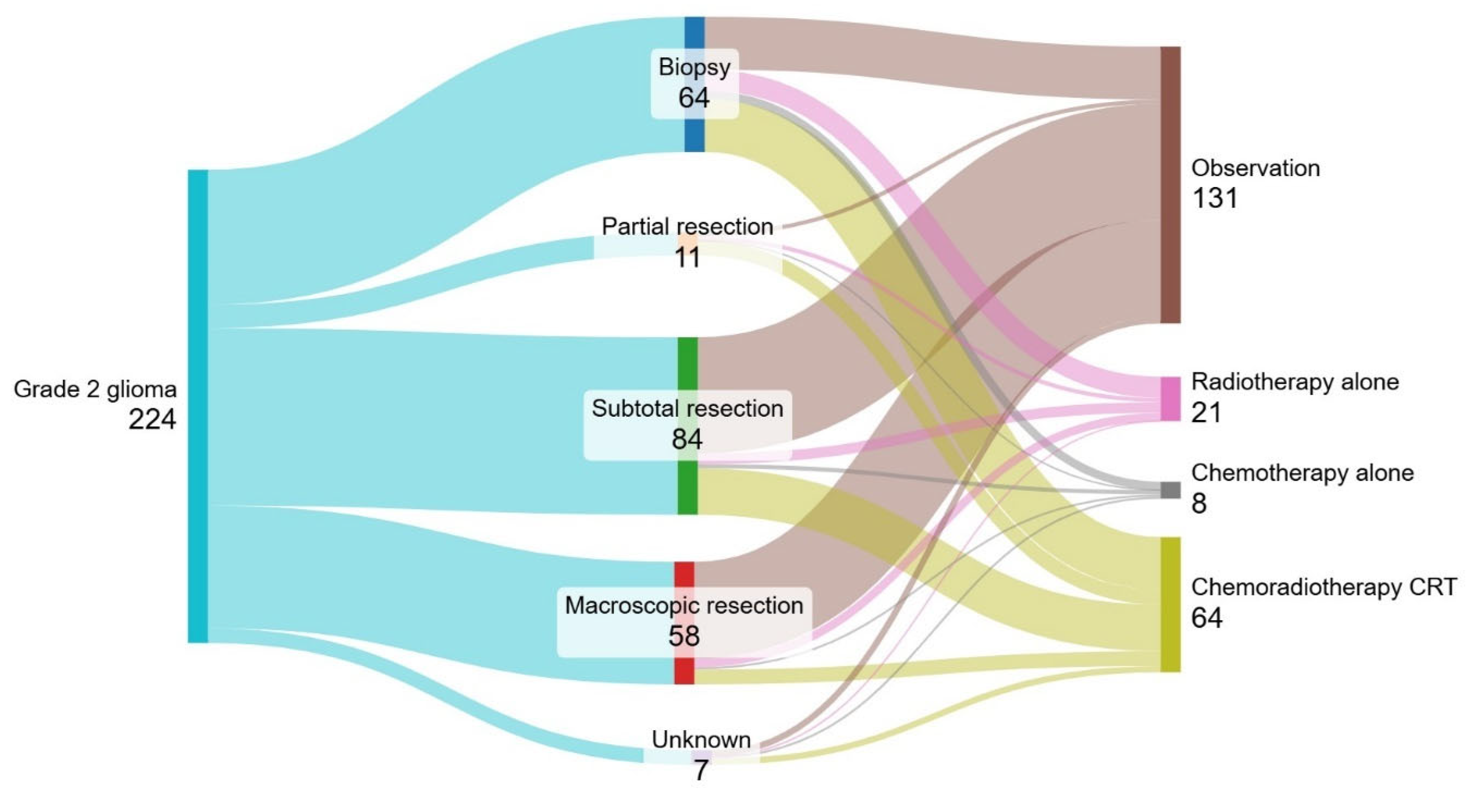 Cancers 16 03514 g001