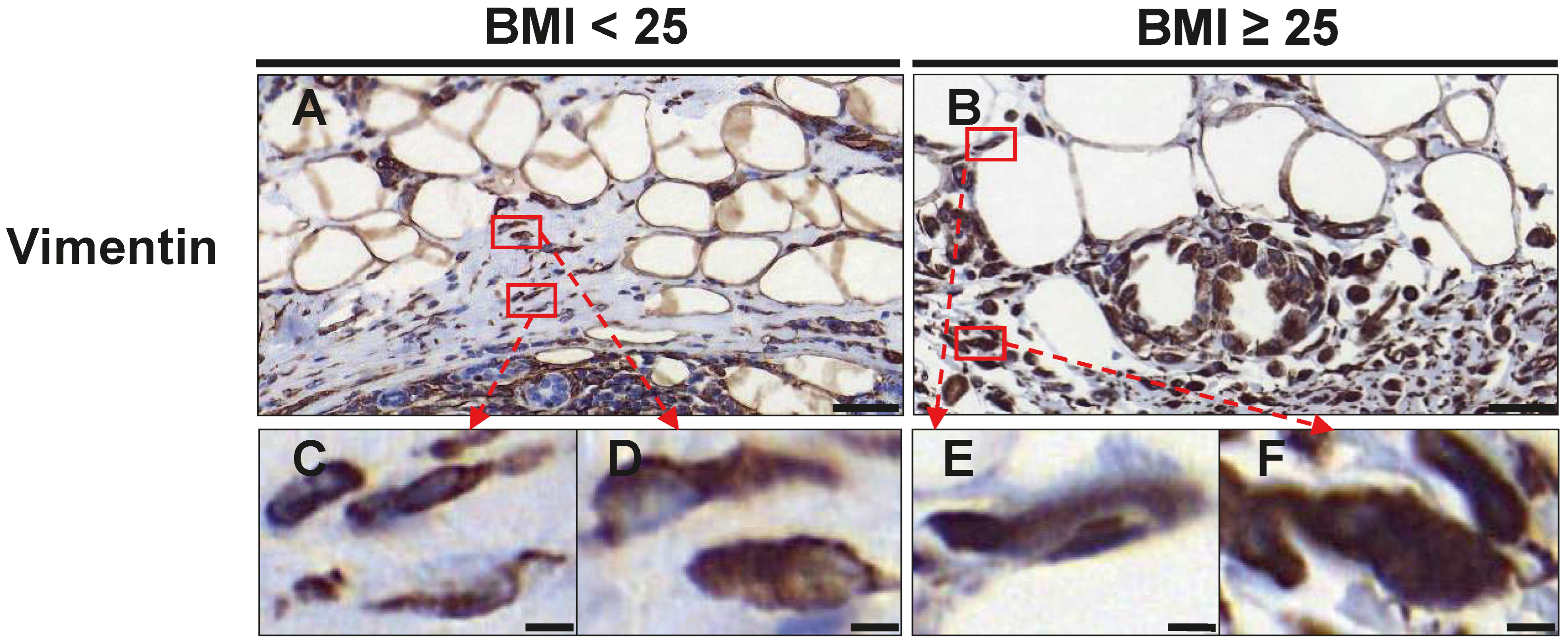 Cancers 16 03515 g003