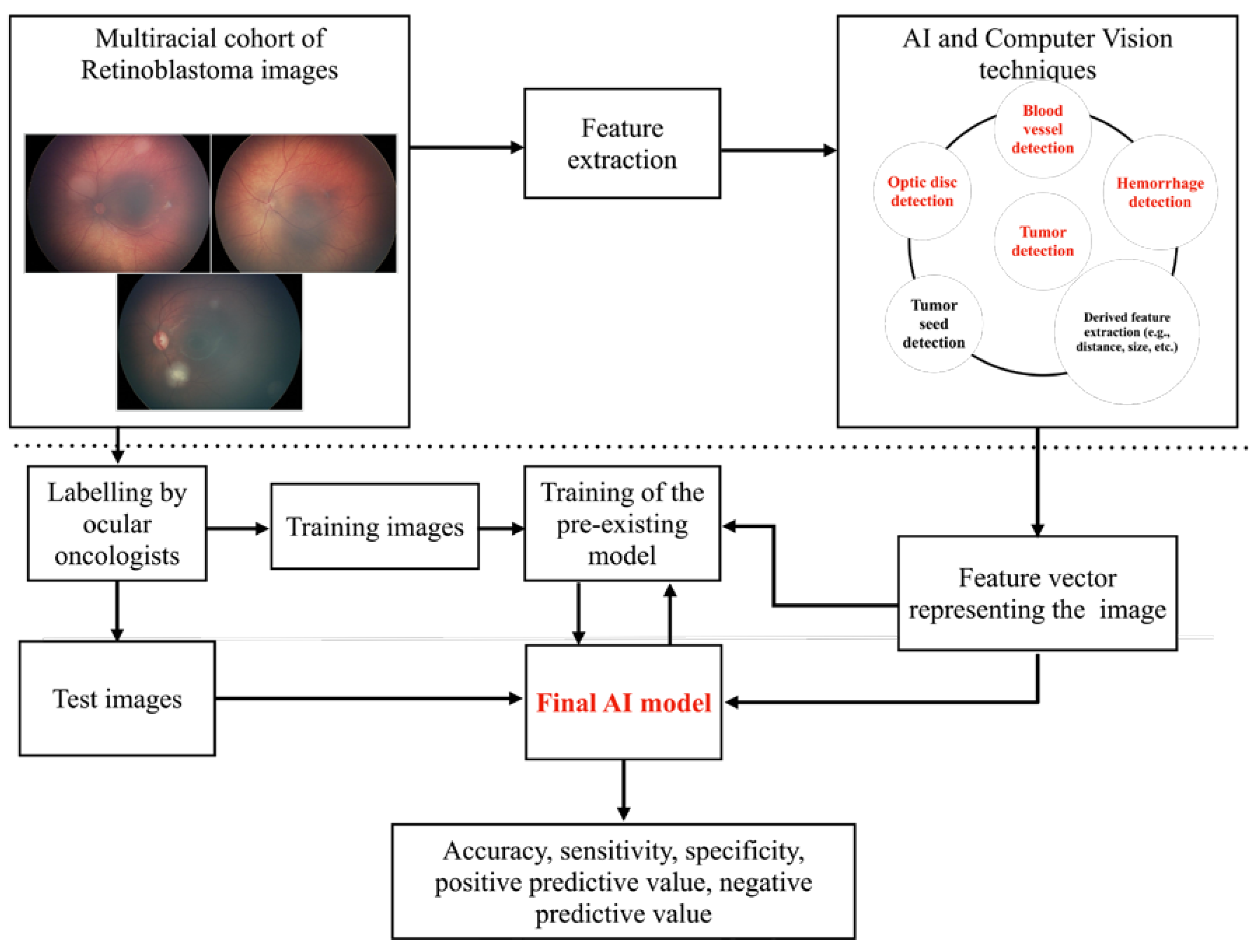 Cancers 16 03516 g001