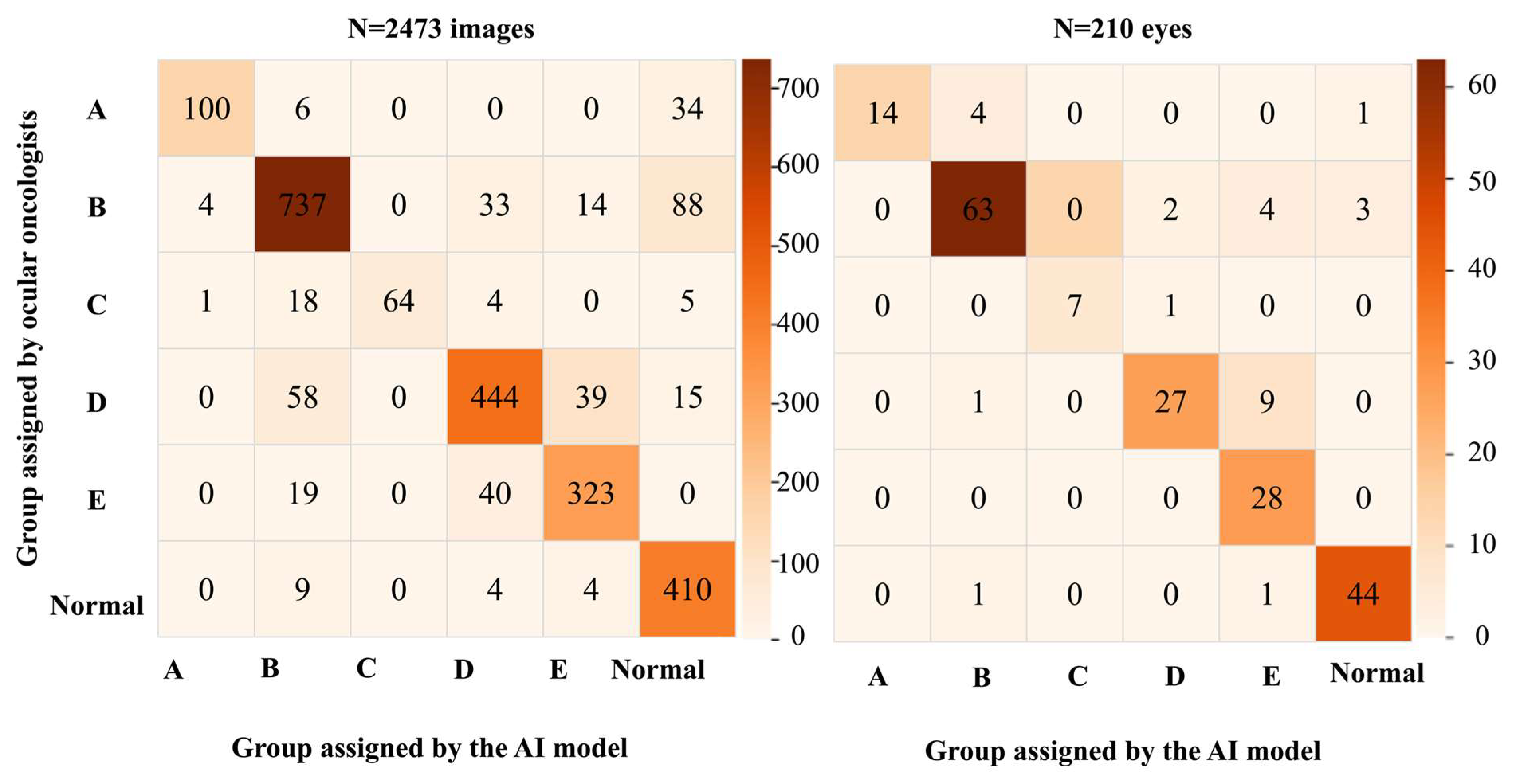 Cancers 16 03516 g004
