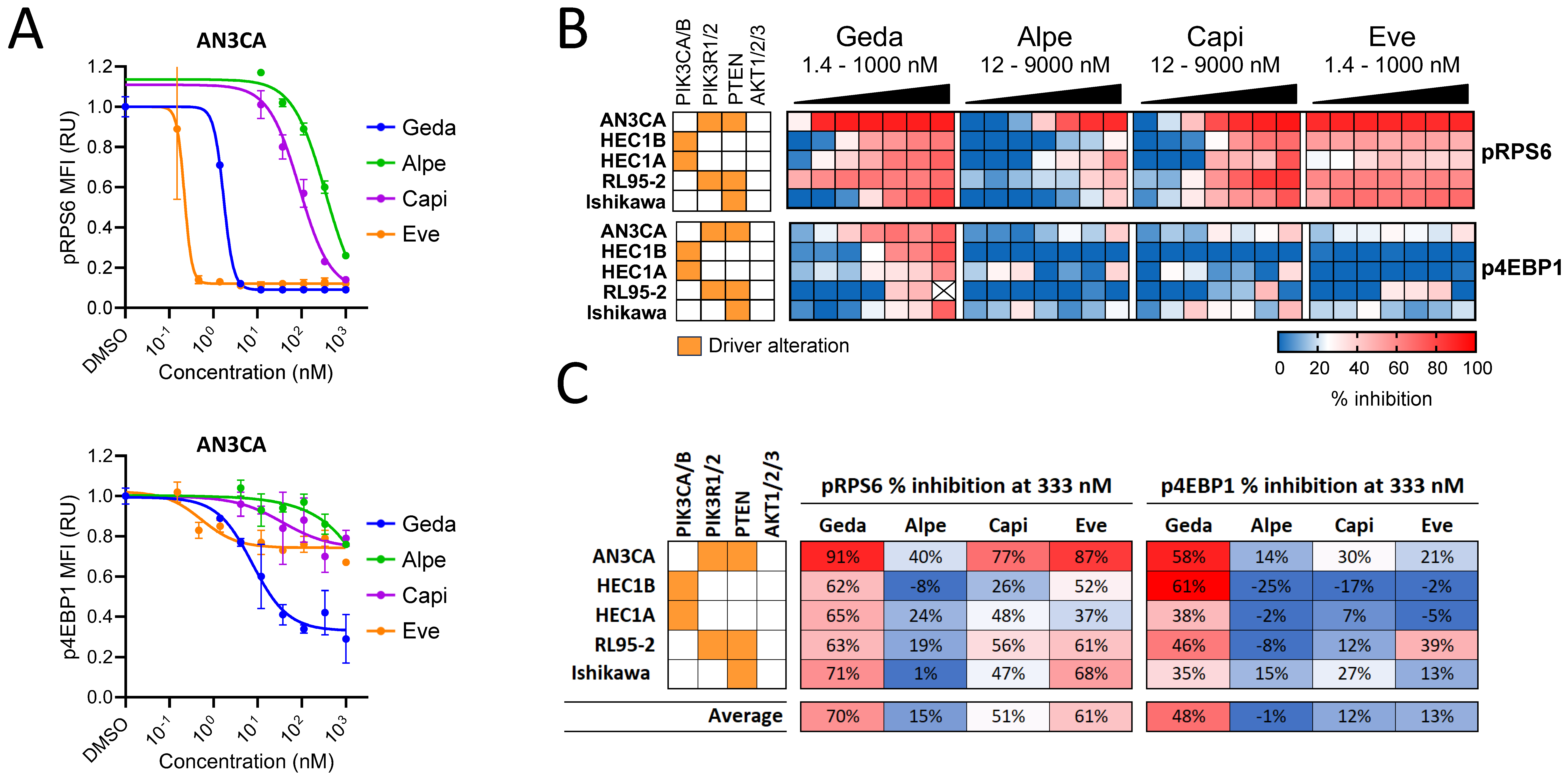 Cancers 16 03520 g003