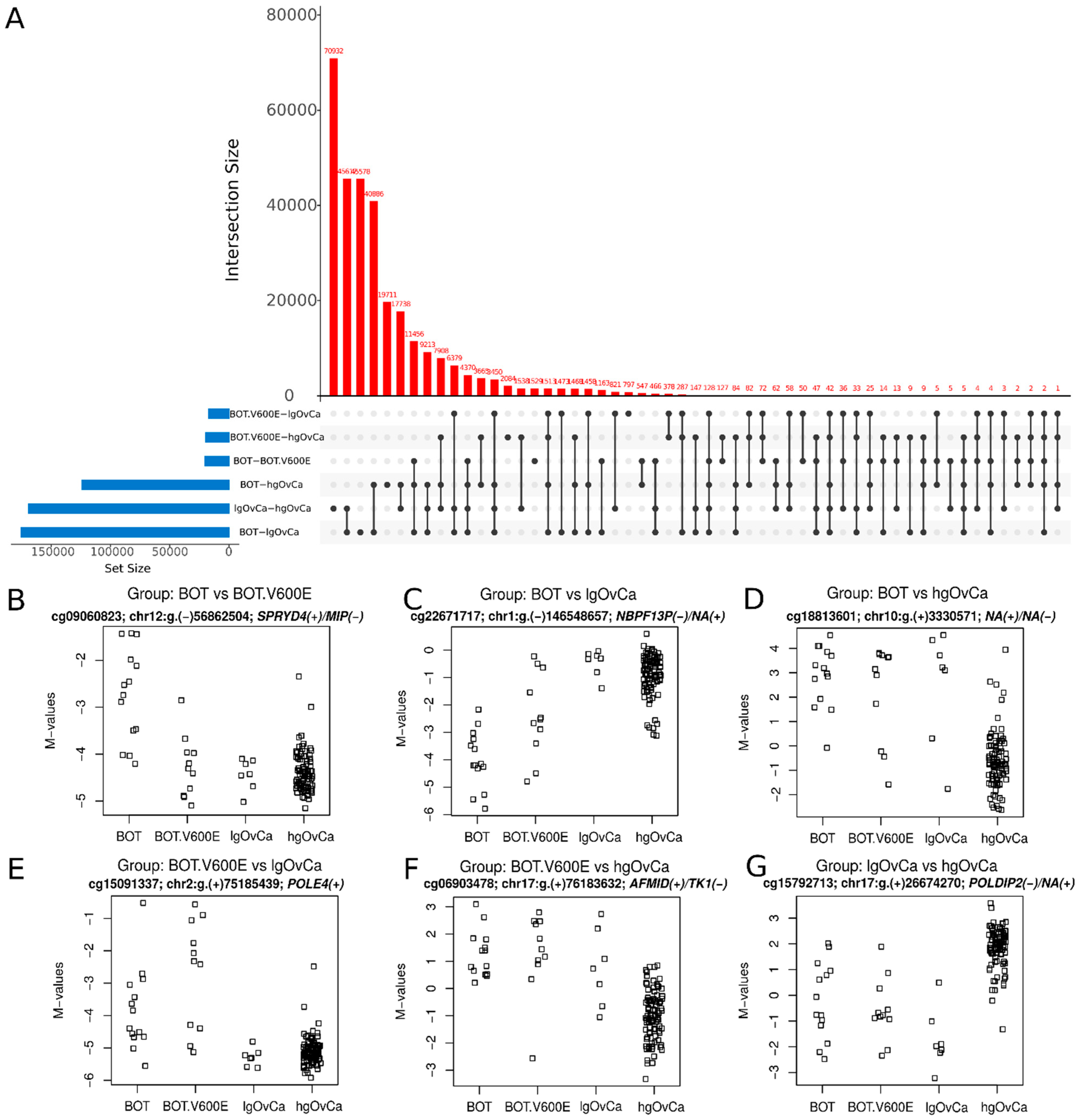 Cancers 16 03524 g002 Cancers 16 03524 g002
