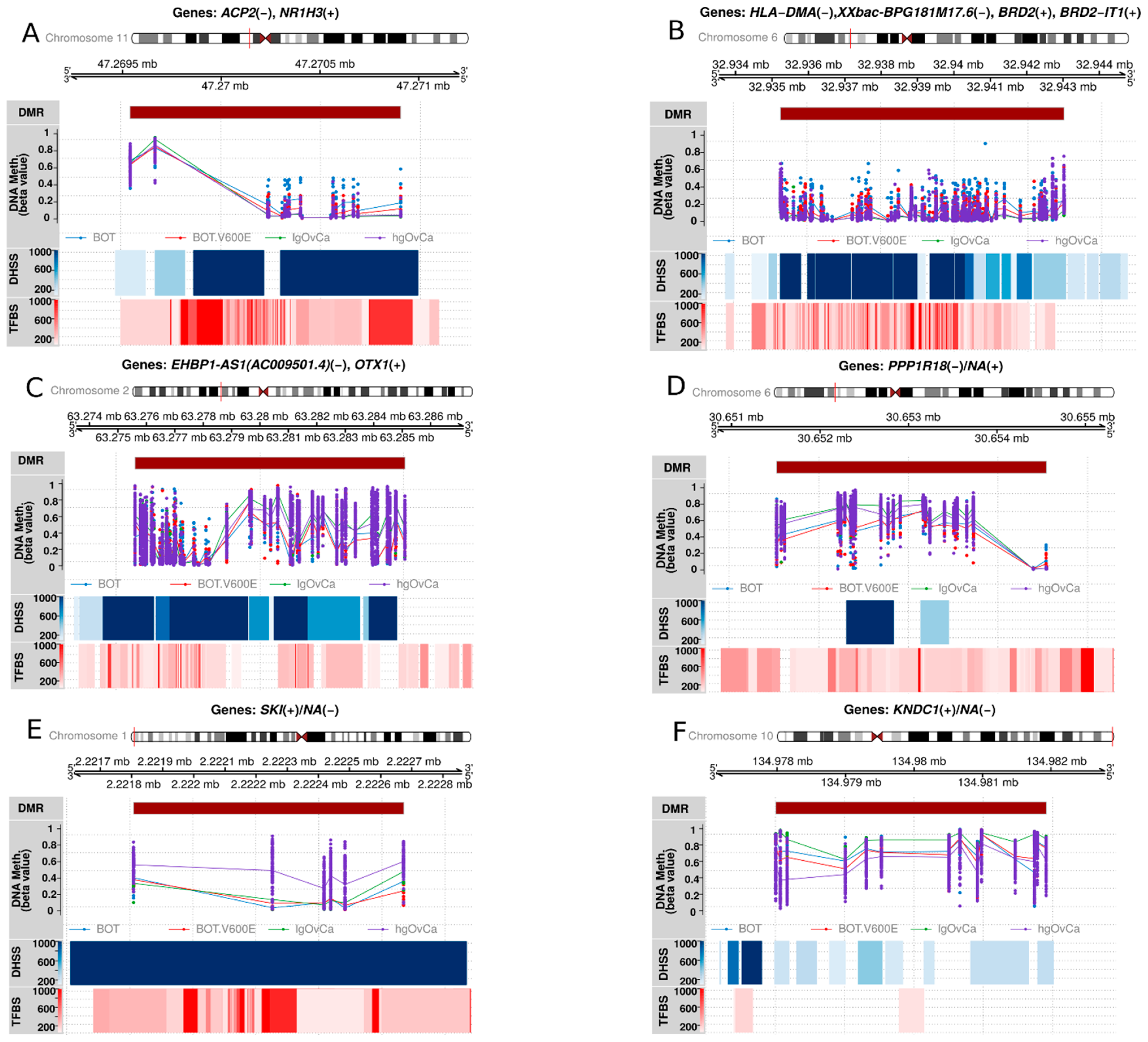 Cancers 16 03524 g003 Cancers 16 03524 g003