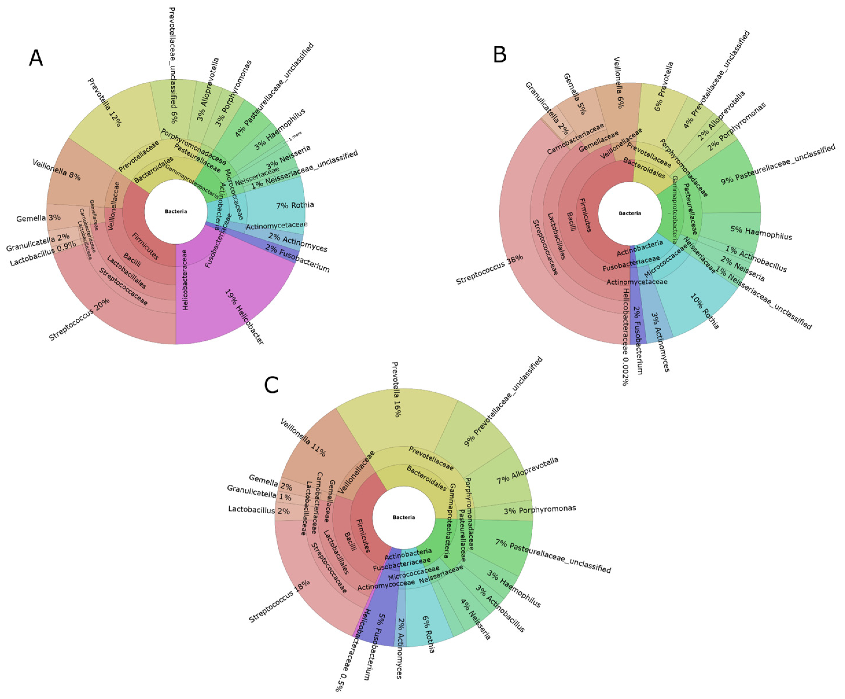 Cancers 16 03528 g001