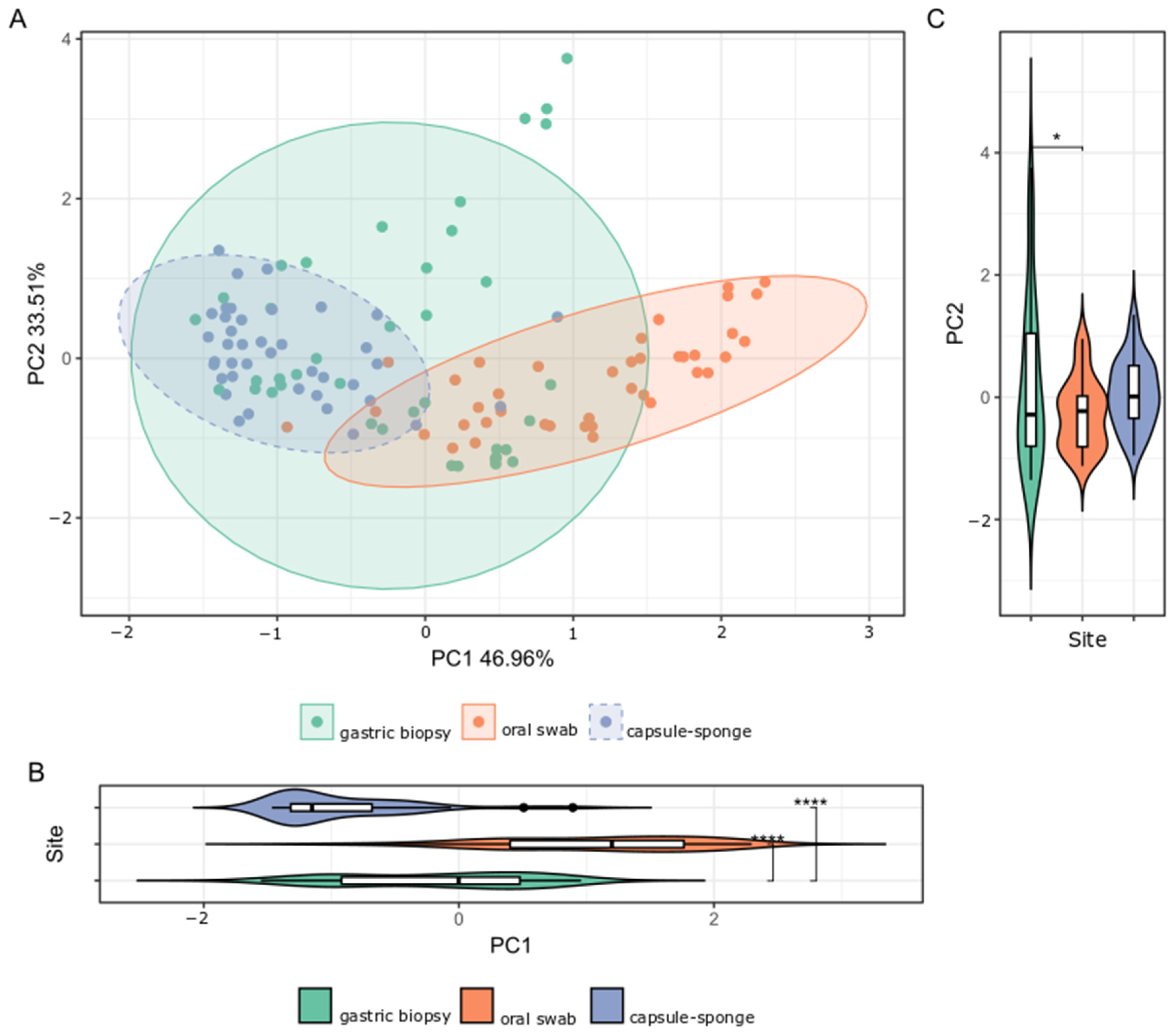 Cancers 16 03528 g003