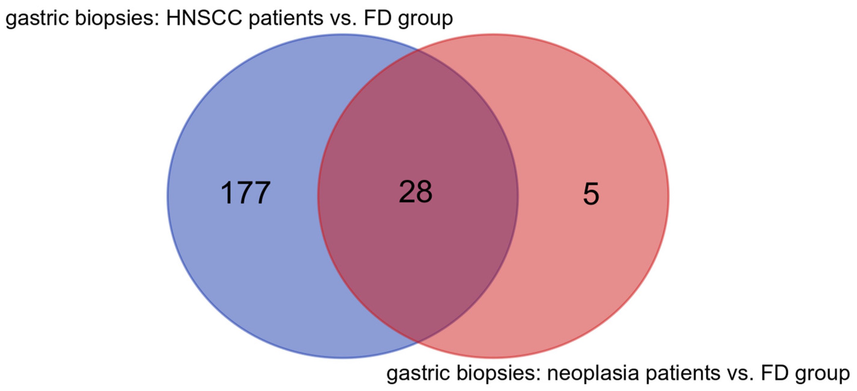 Cancers 16 03528 g008