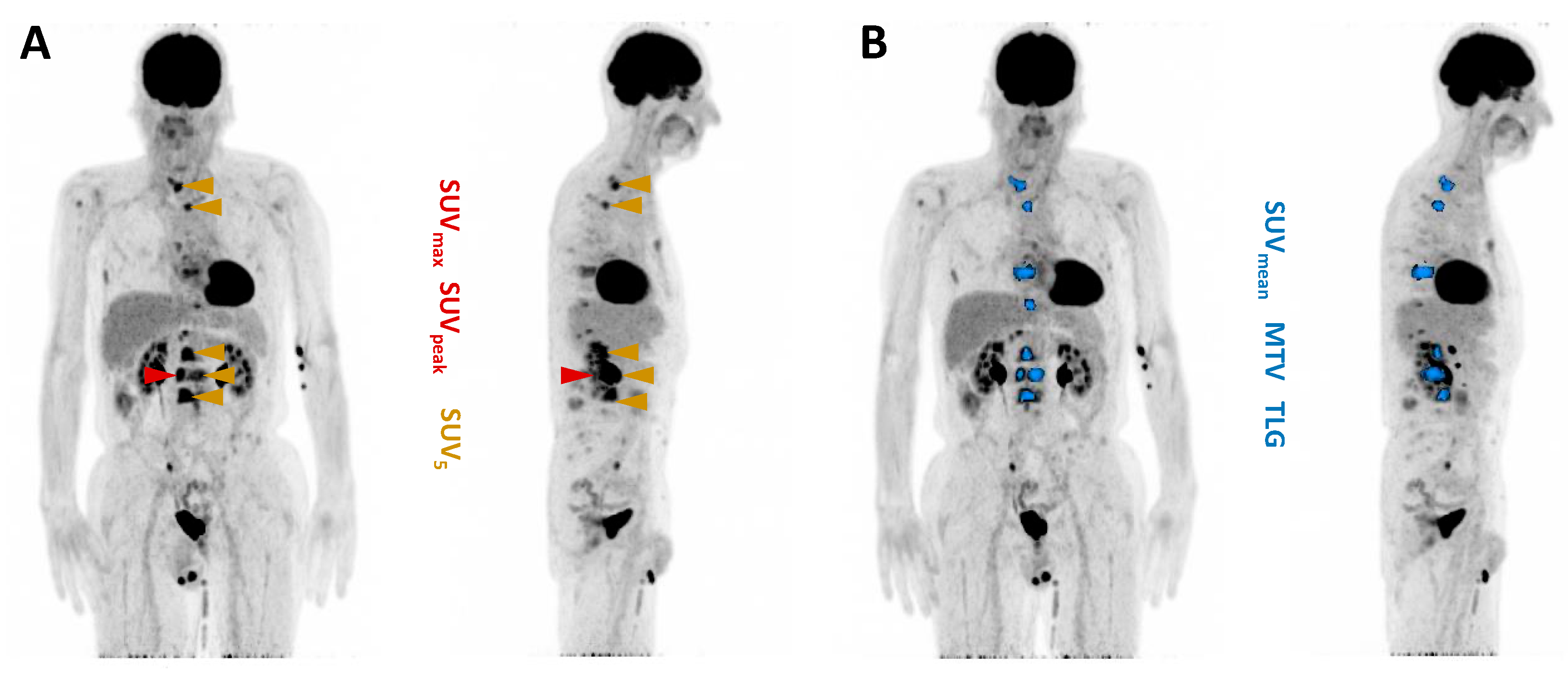 Cancers 16 03532 g002