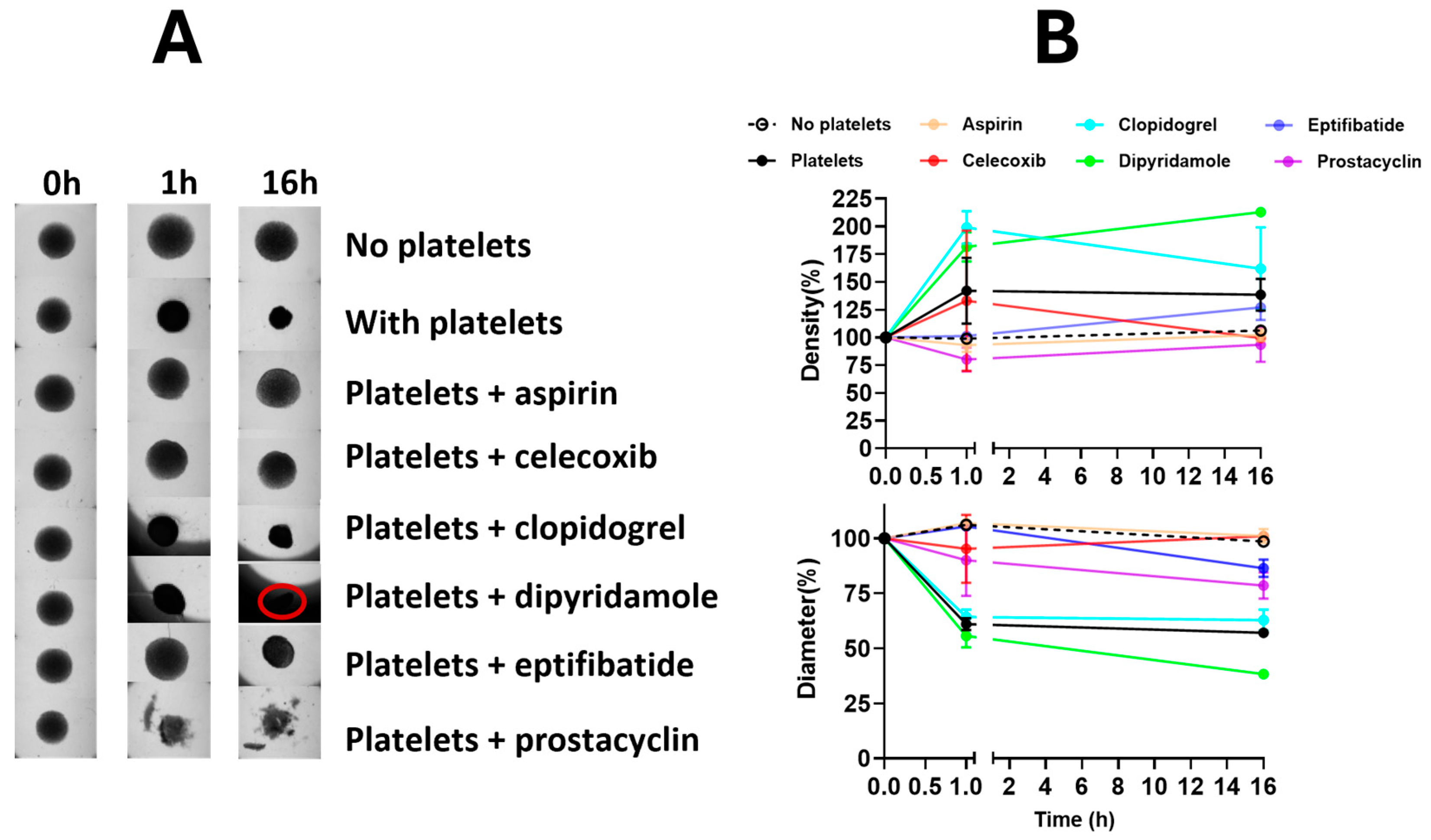 Cancers 16 03533 g002 Cancers 16 03533 g002