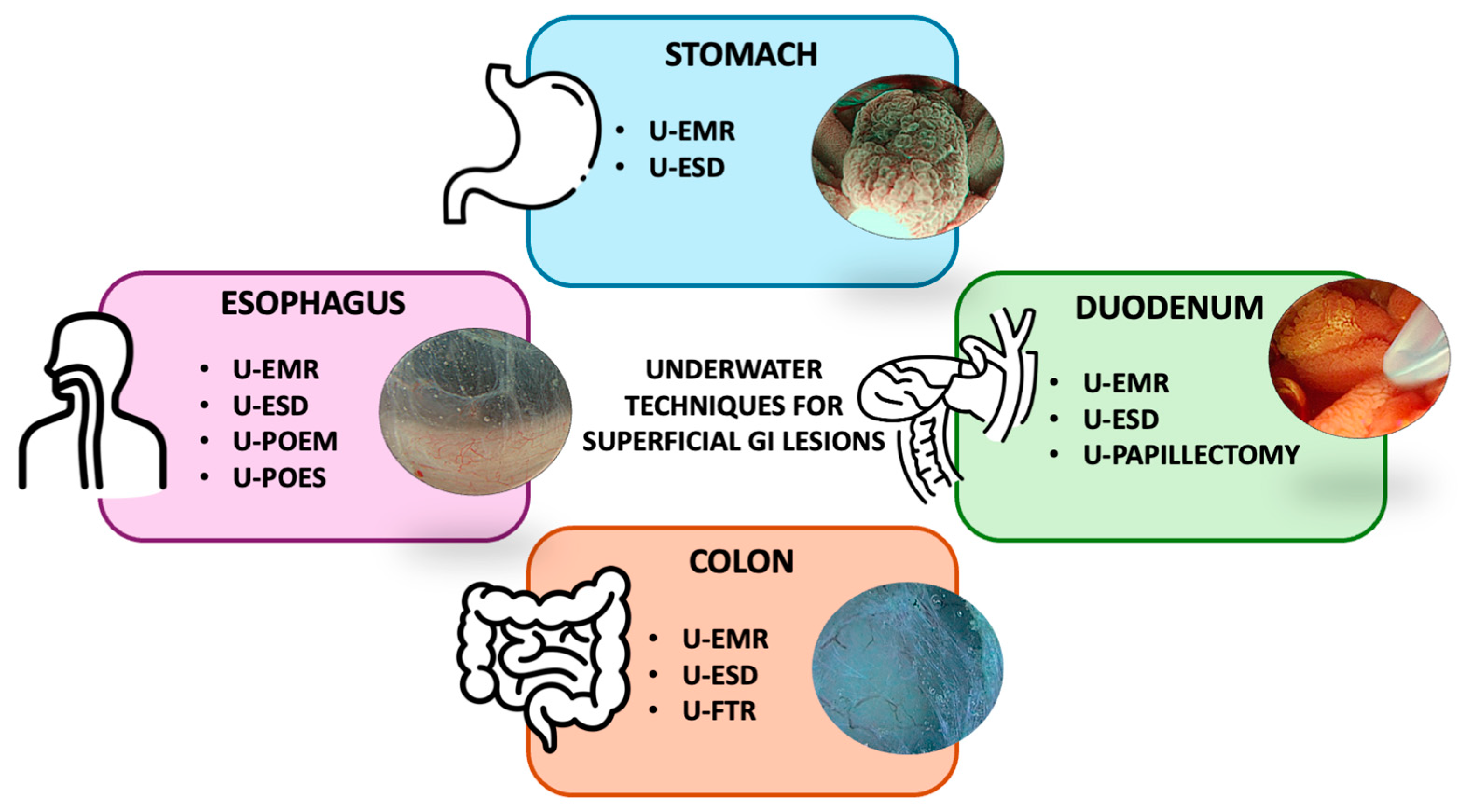 Cancers 16 03535 g001
