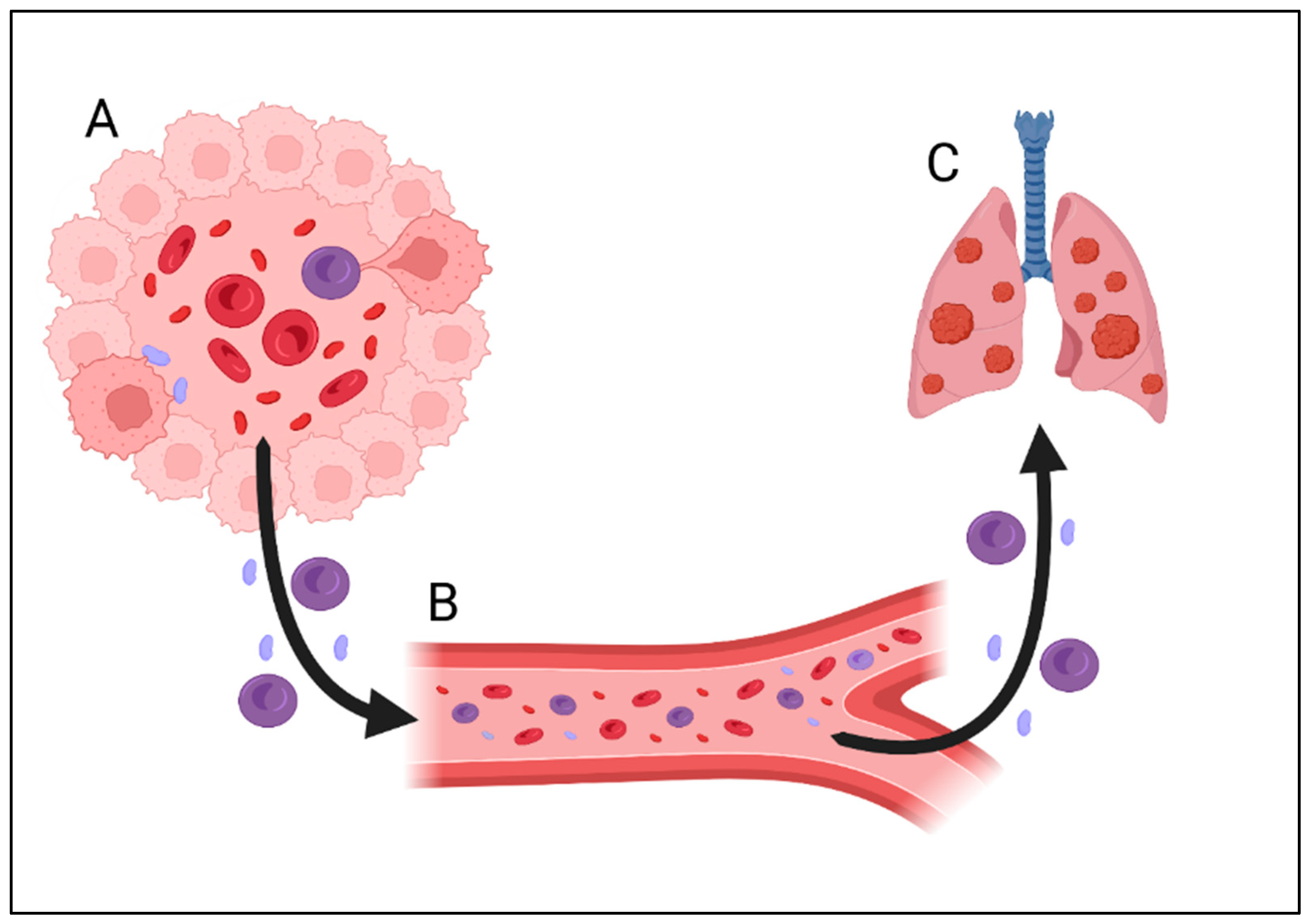Cancers 16 03539 g003