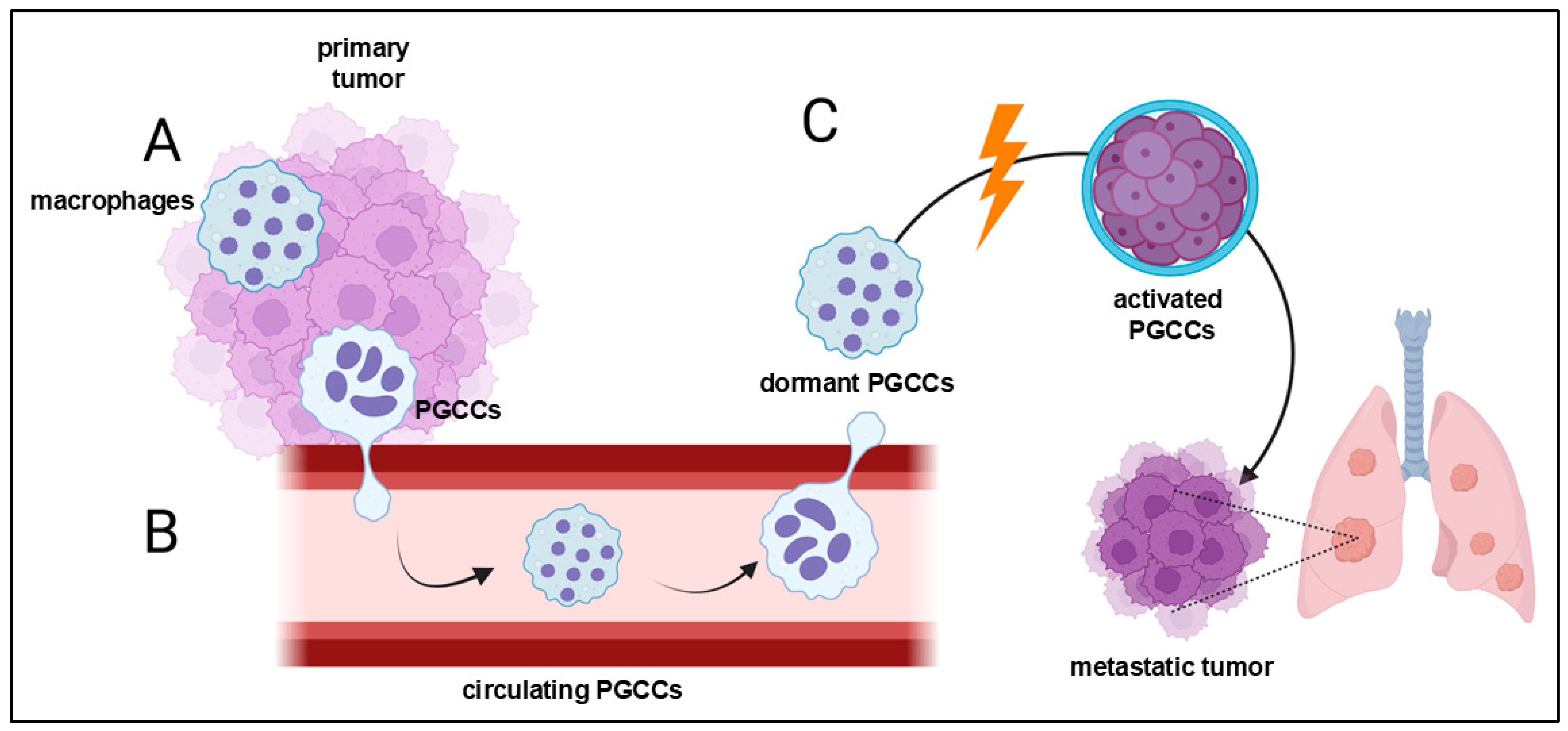 Cancers 16 03539 g005