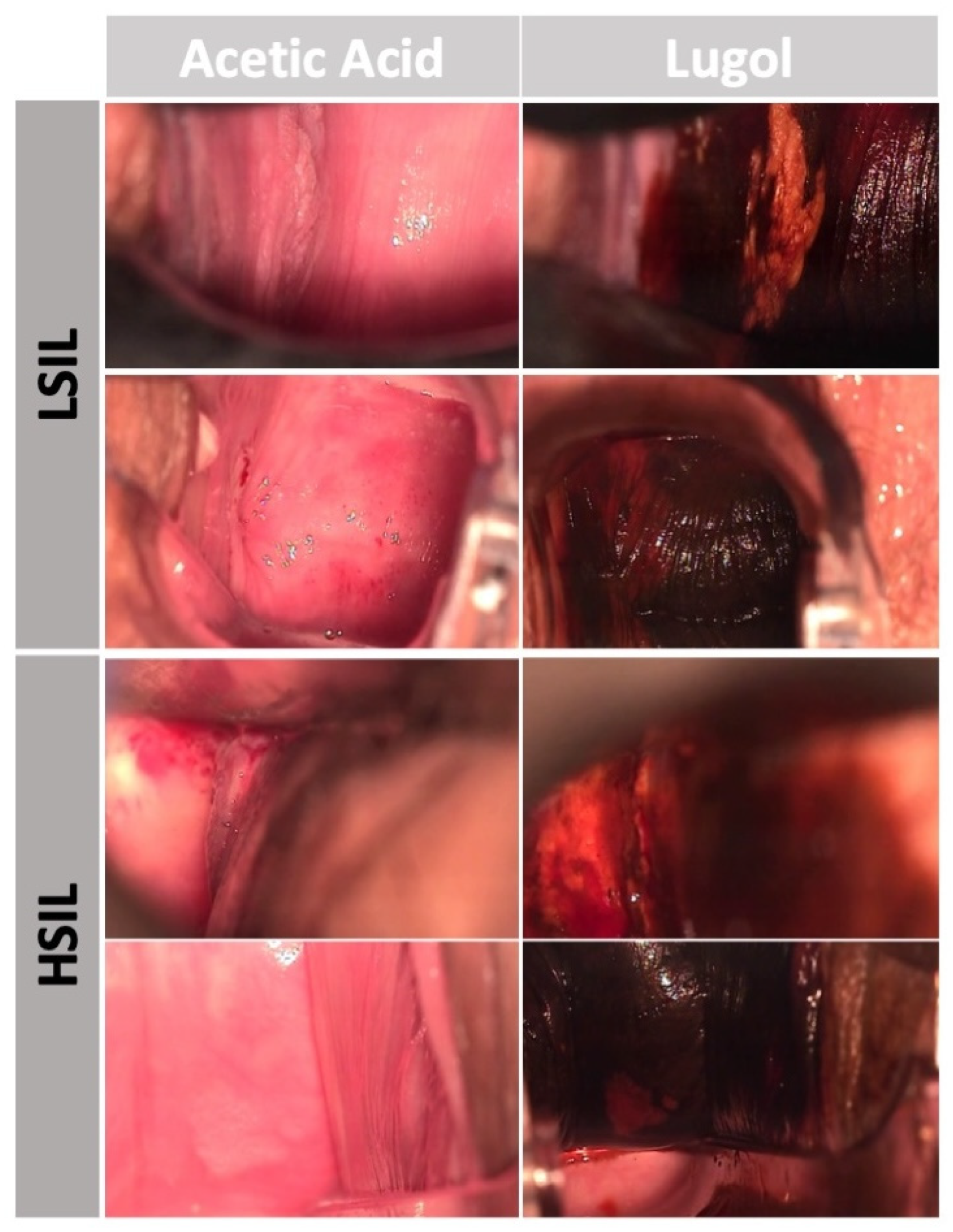 Cancers 16 03540 g001
