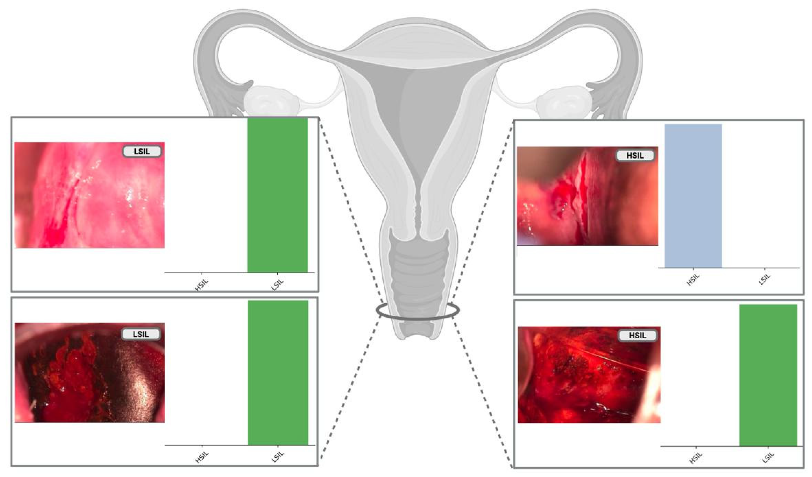 Cancers 16 03540 g003