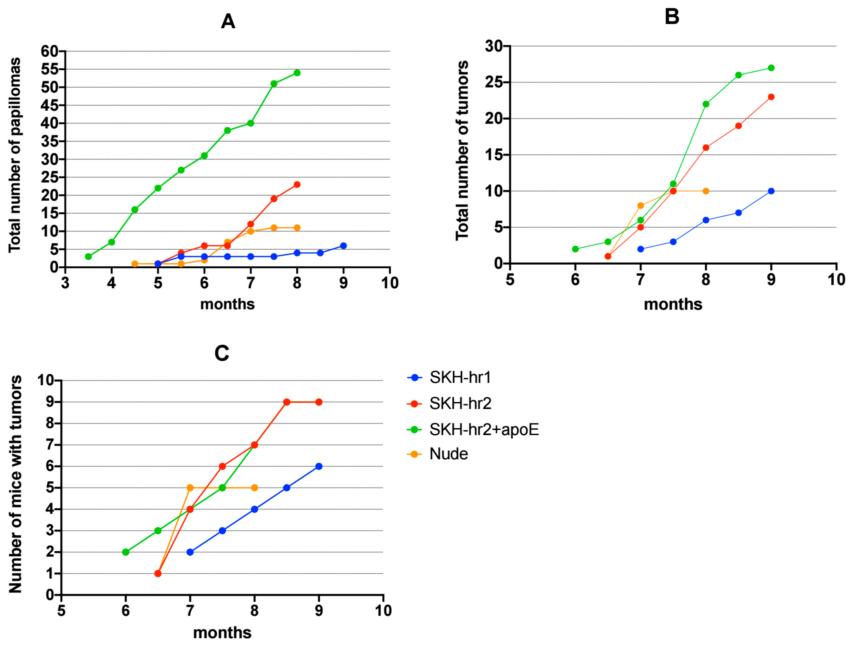 Cancers 16 03546 g002