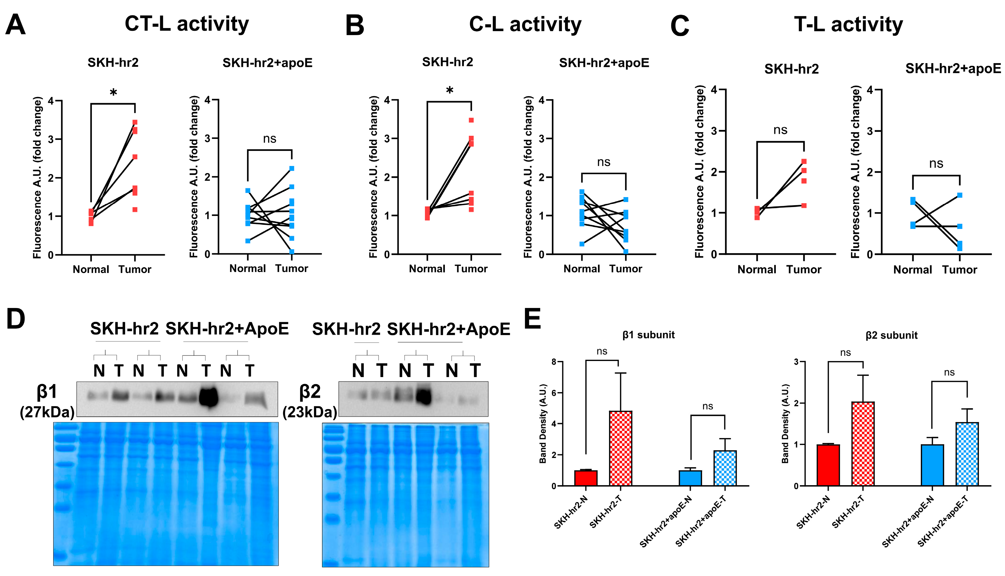 Cancers 16 03546 g005