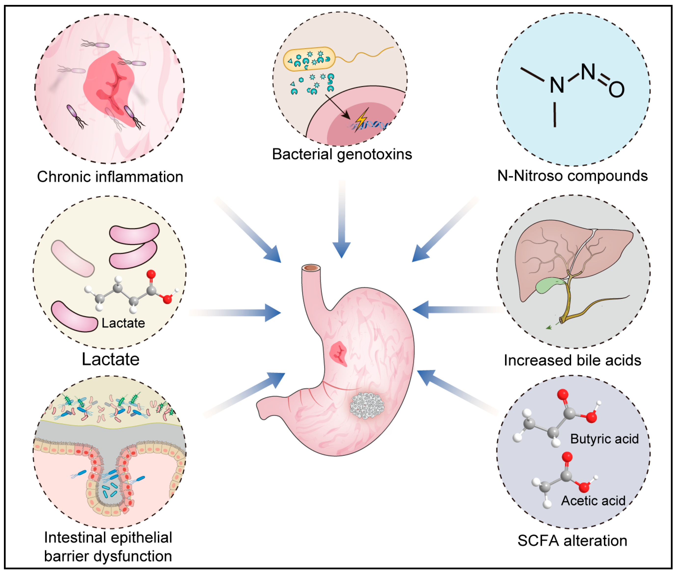 Cancers 16 03547 g001 Cancers 16 03547 g001