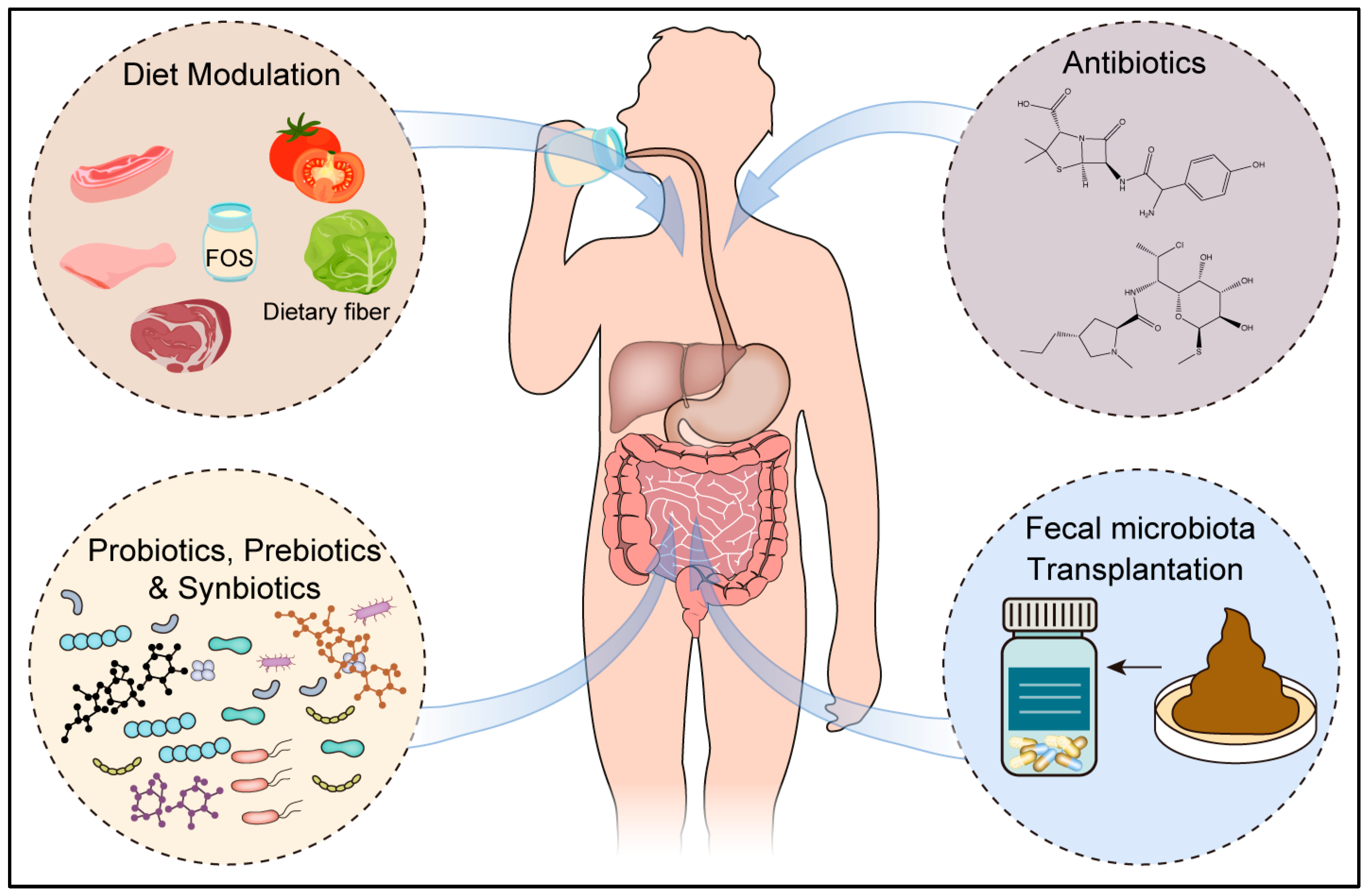Cancers 16 03547 g002 Cancers 16 03547 g002