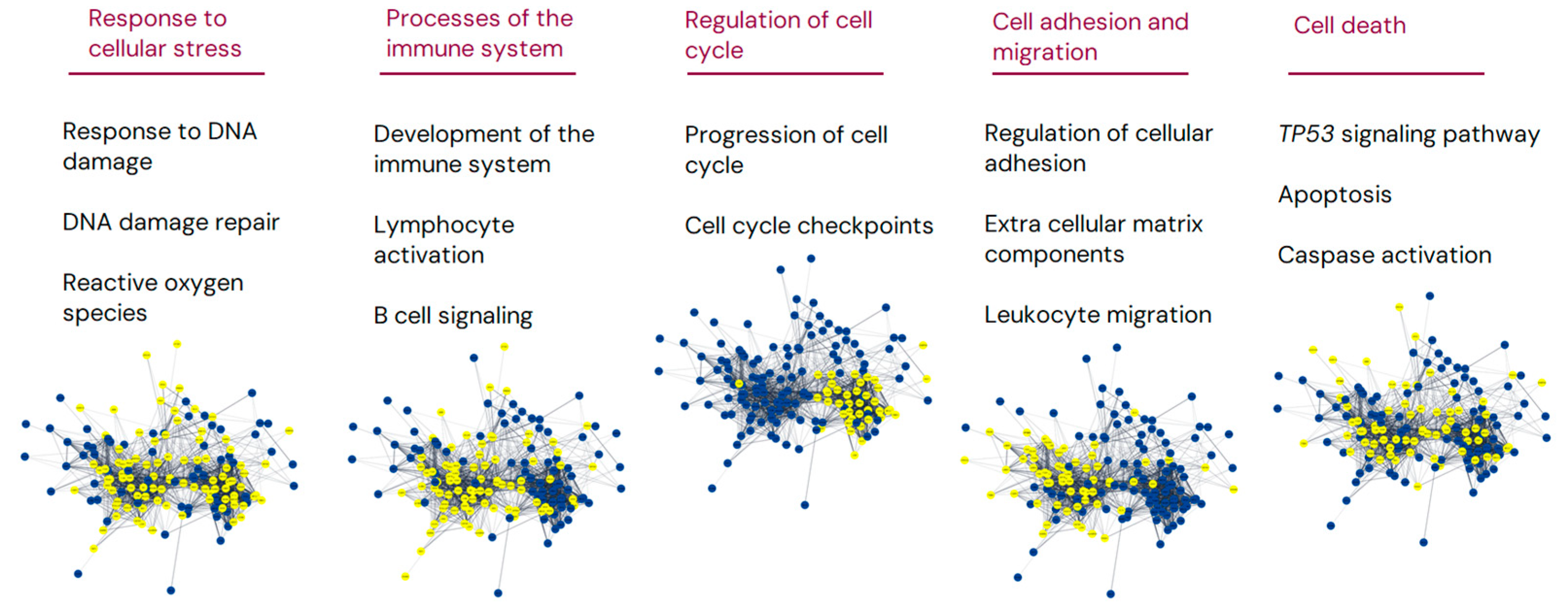 Cancers 16 03553 g002