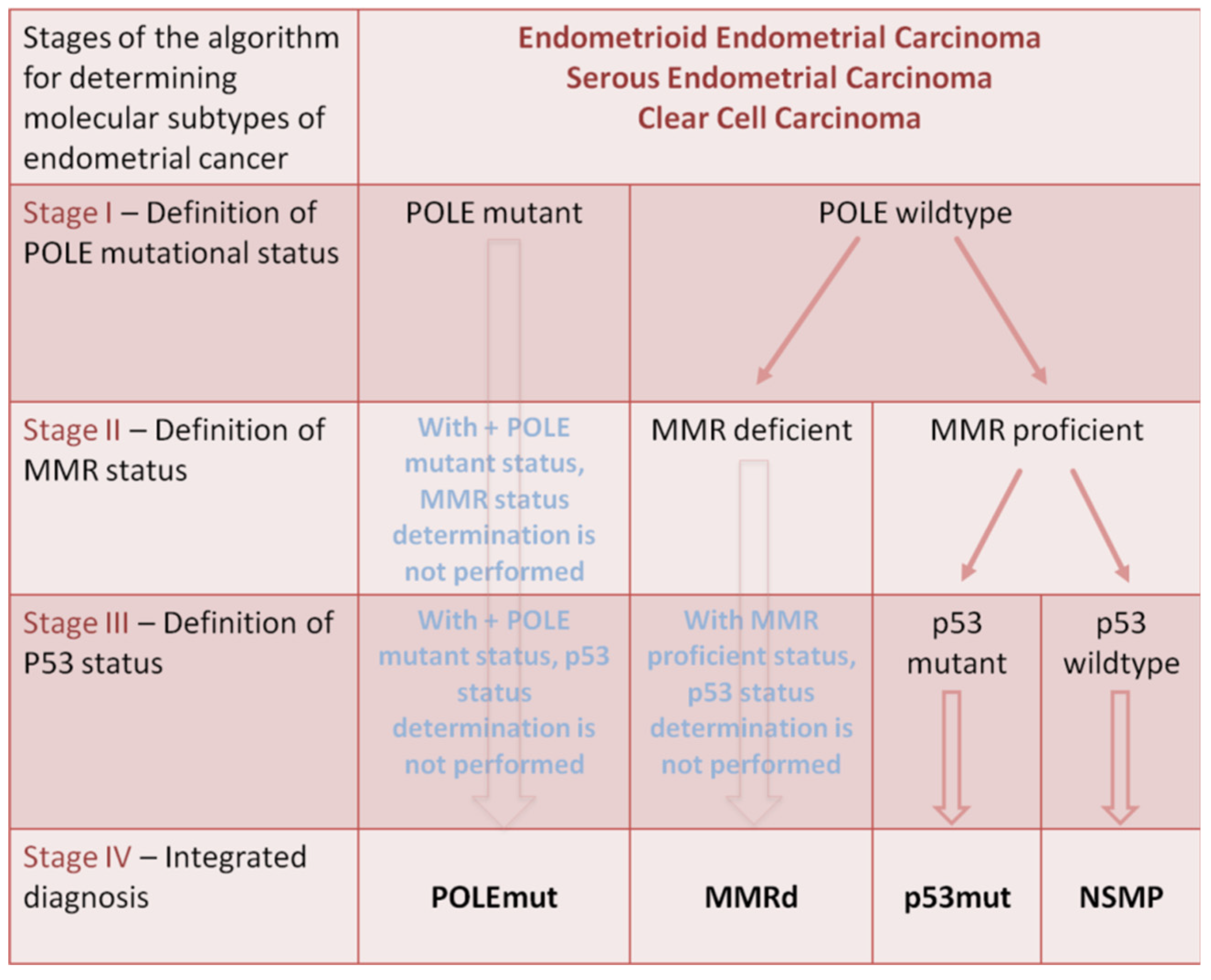 Cancers 16 03560 g002