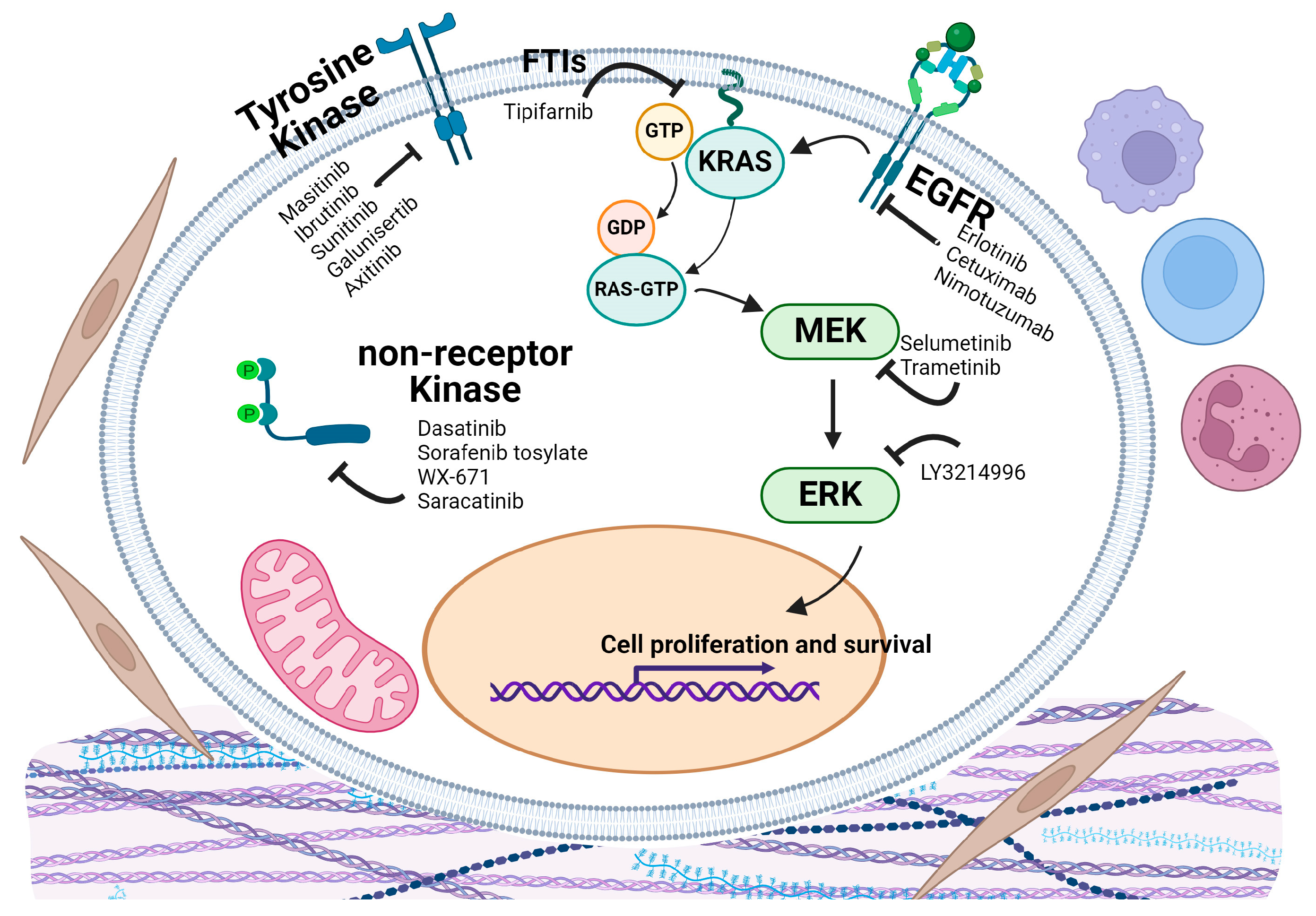 Cancers 16 03564 g006 Cancers 16 03564 g006