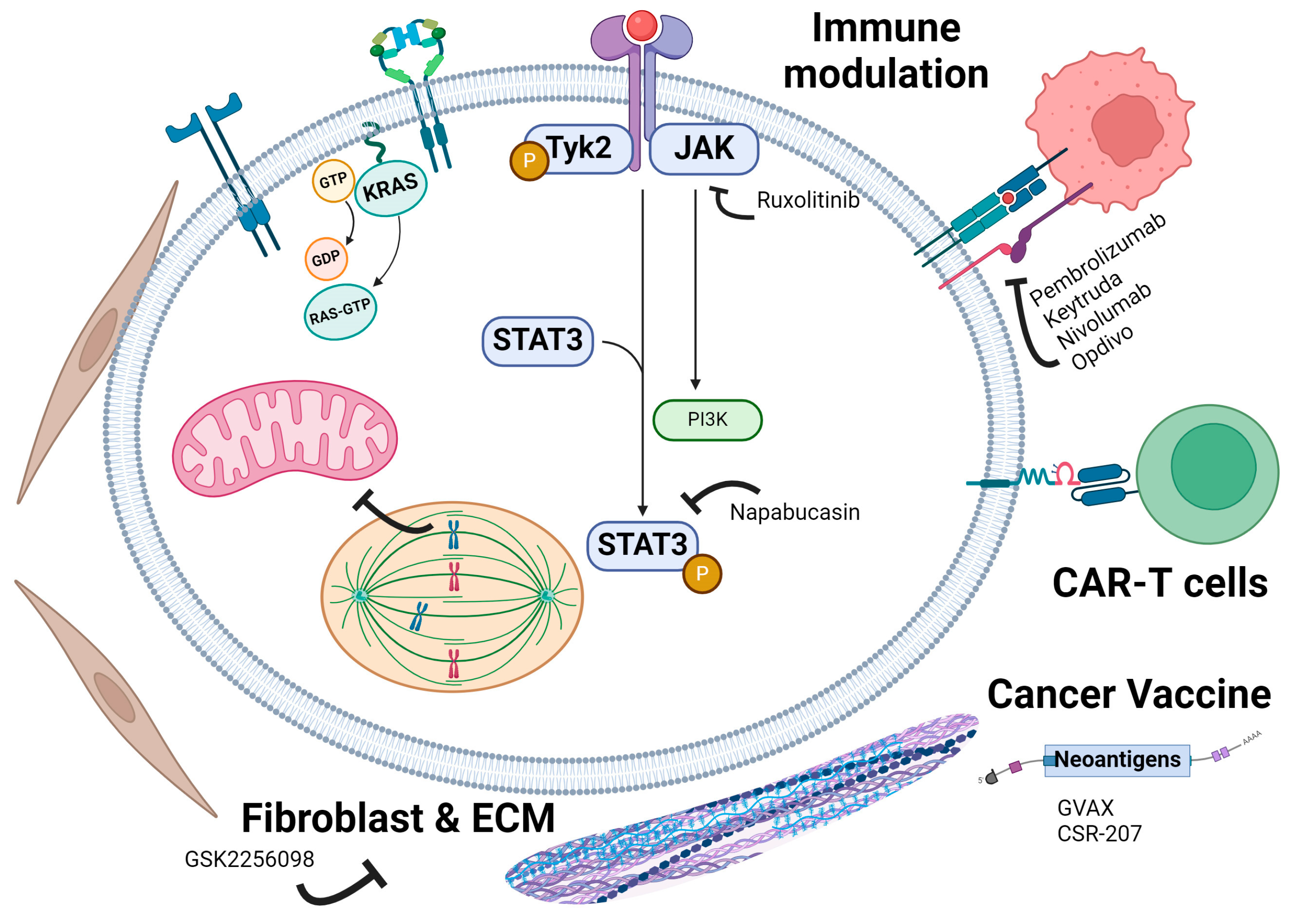 Cancers 16 03564 g008 Cancers 16 03564 g008