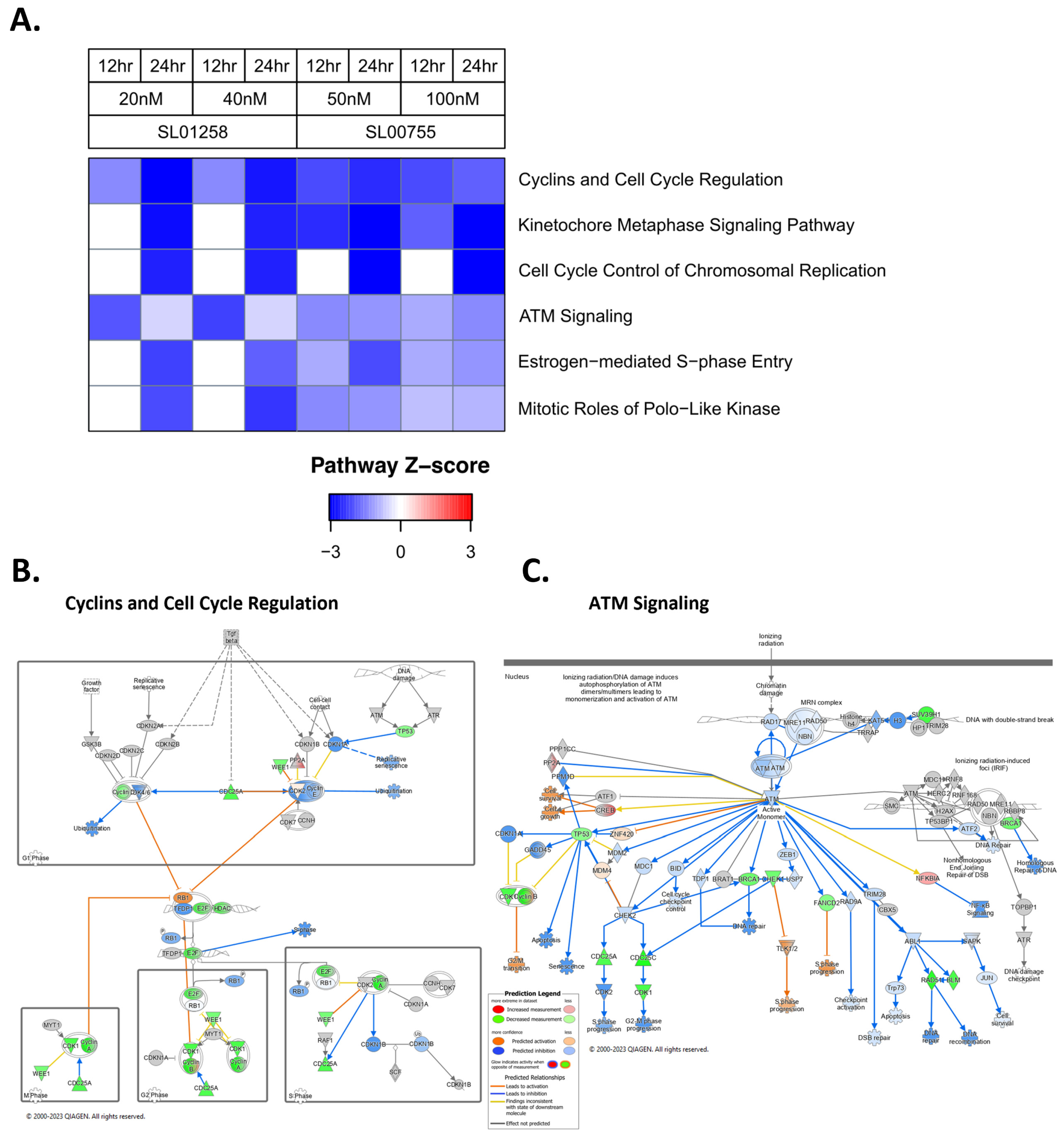 Cancers 16 03565 g003