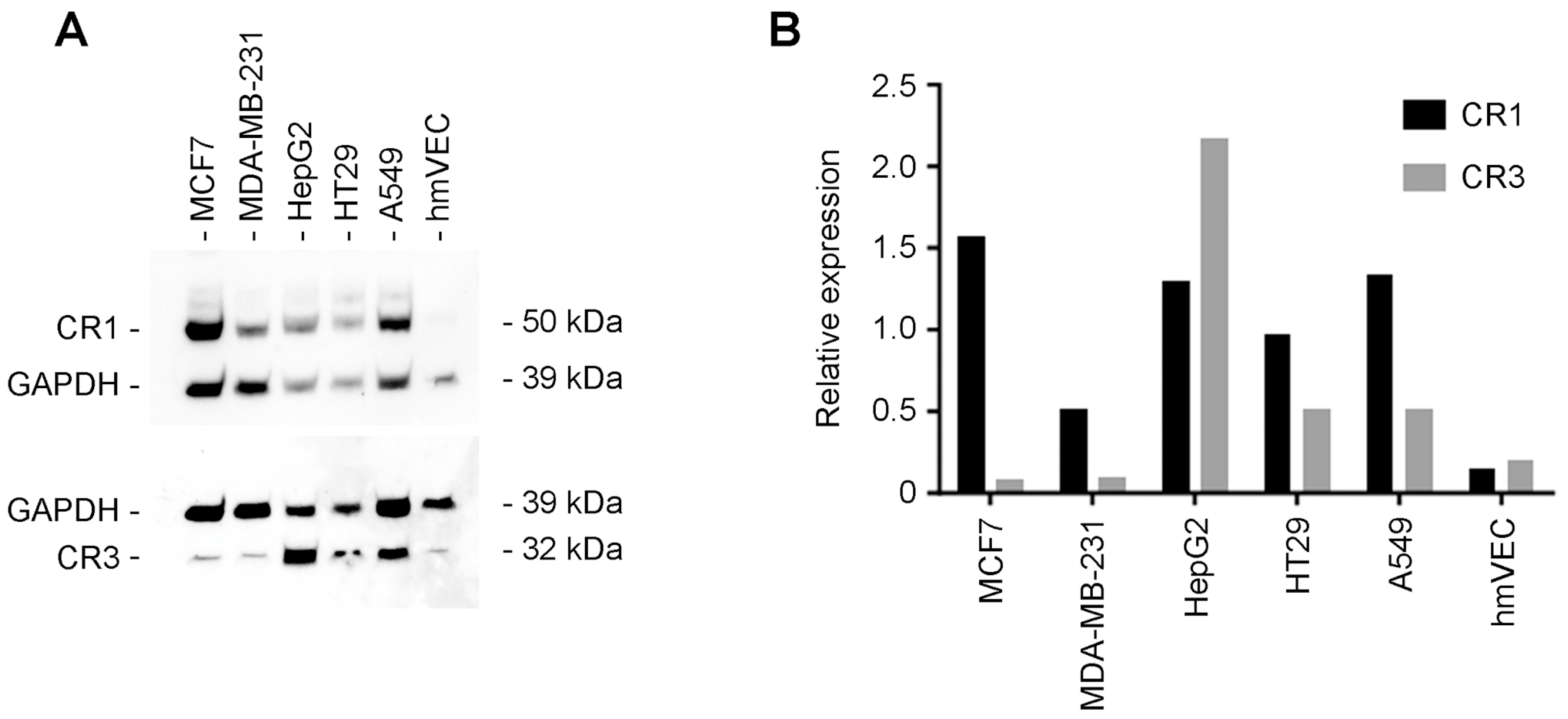 Cancers 16 03577 g006 Cancers 16 03577 g006