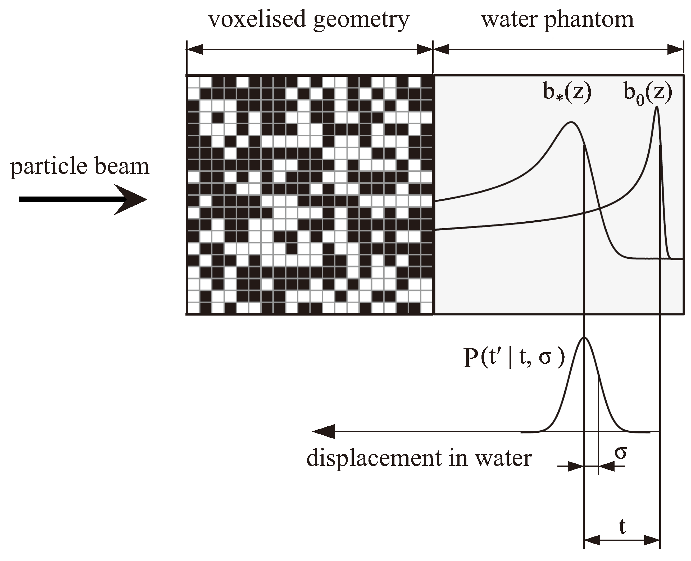 Cancers 16 03598 g002