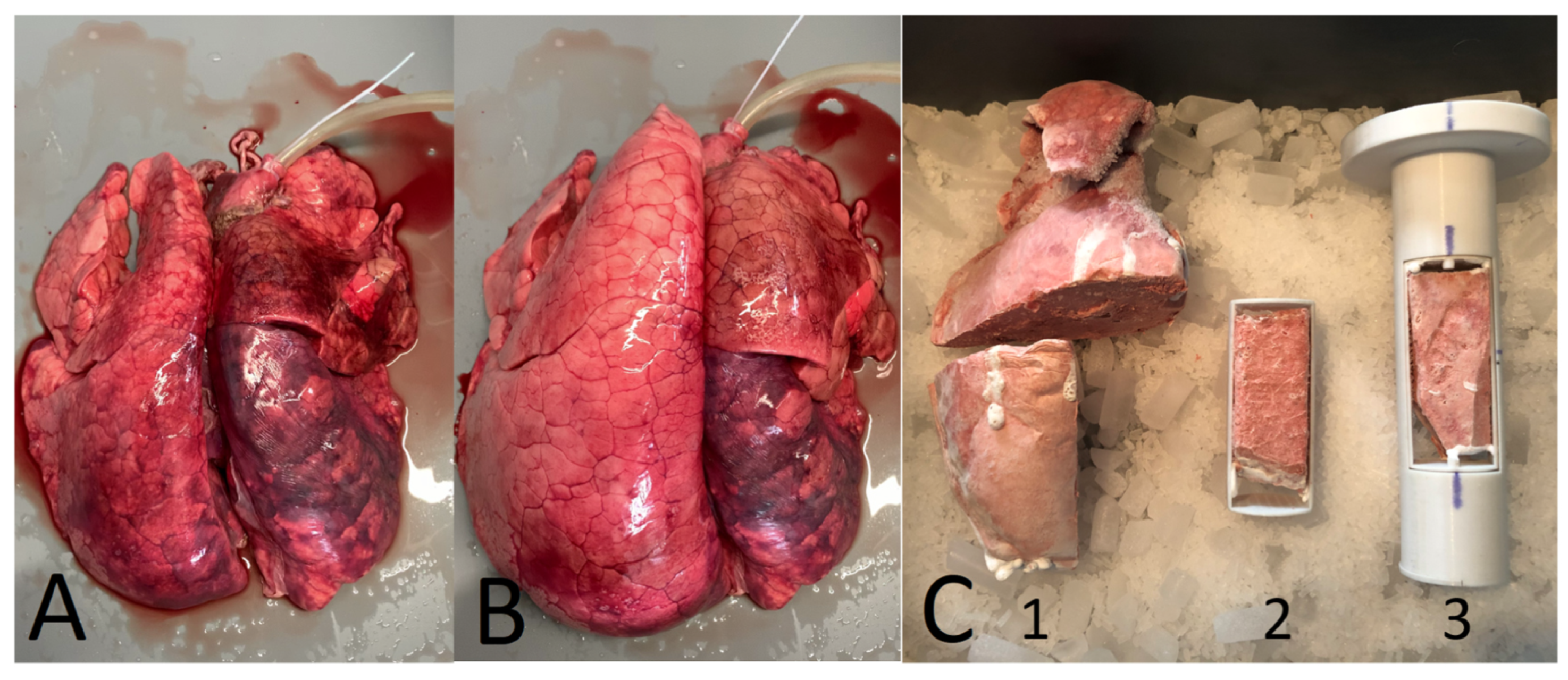 Cancers 16 03598 g003