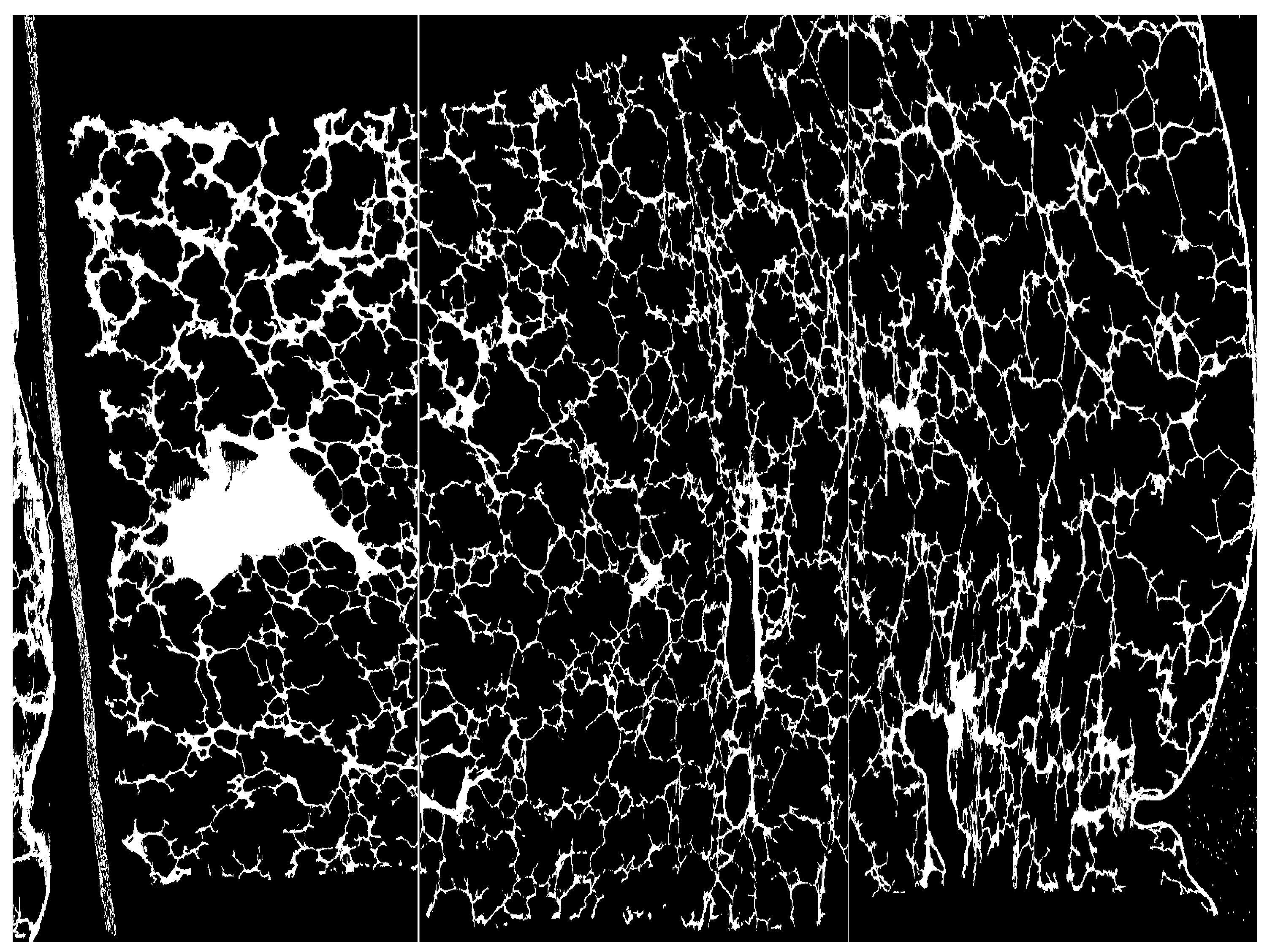 Cancers 16 03598 g004