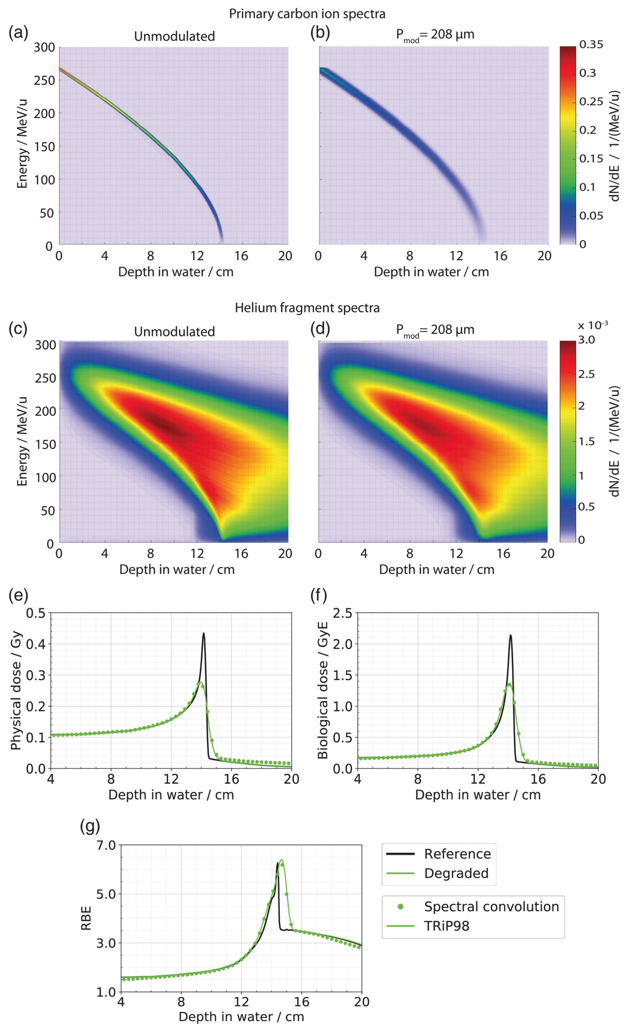 Cancers 16 03598 g007