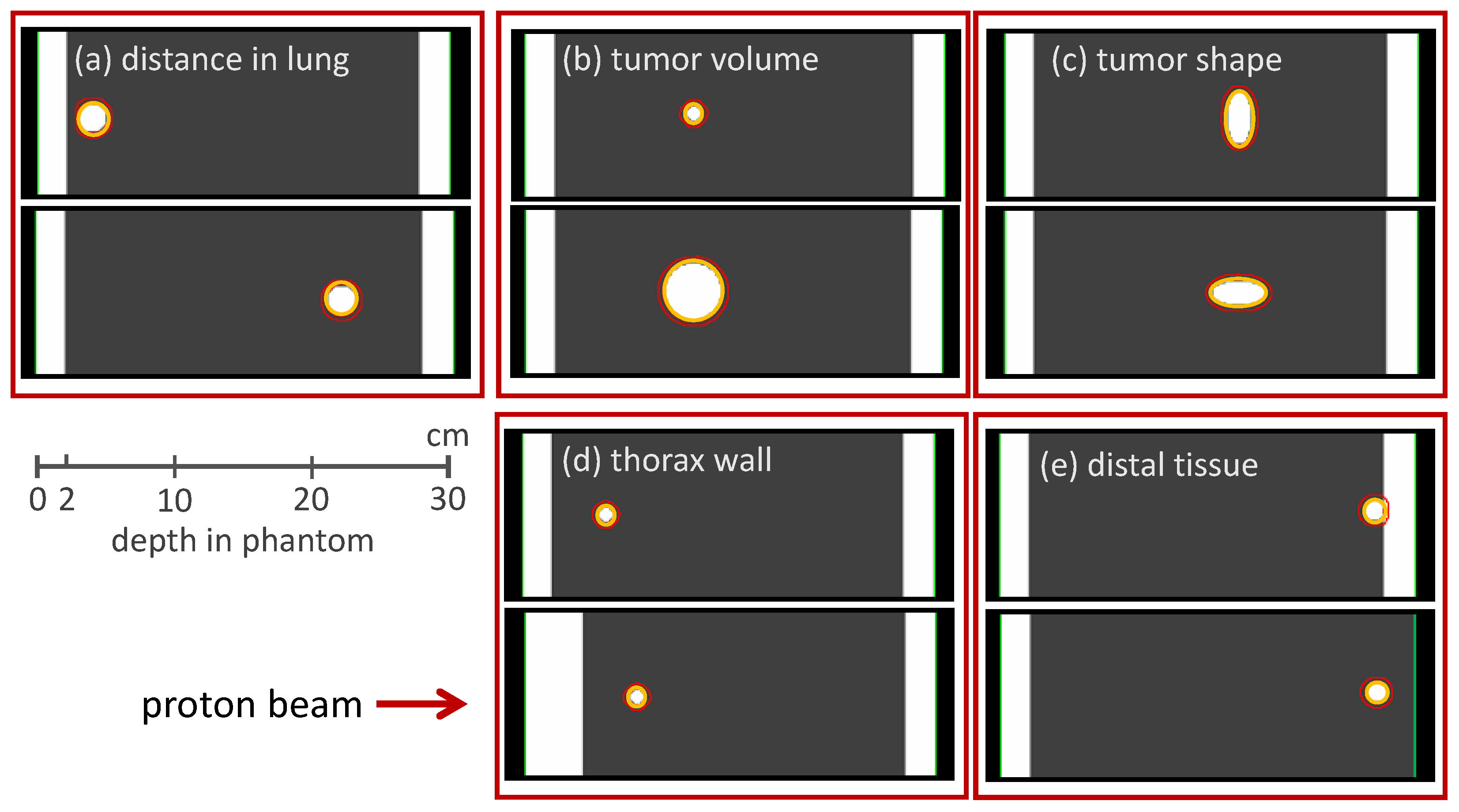 Cancers 16 03598 g008