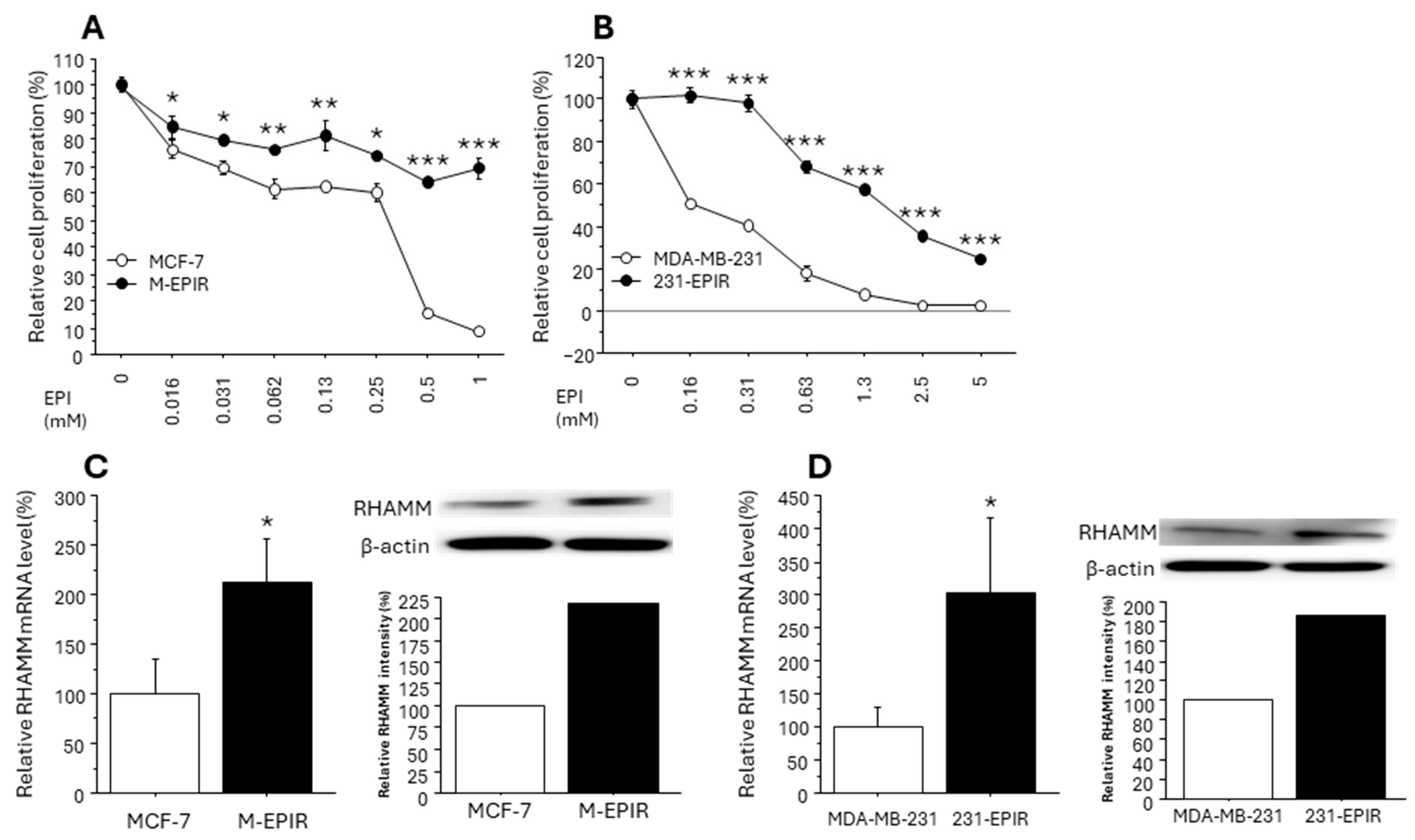 Cancers 16 03600 g004