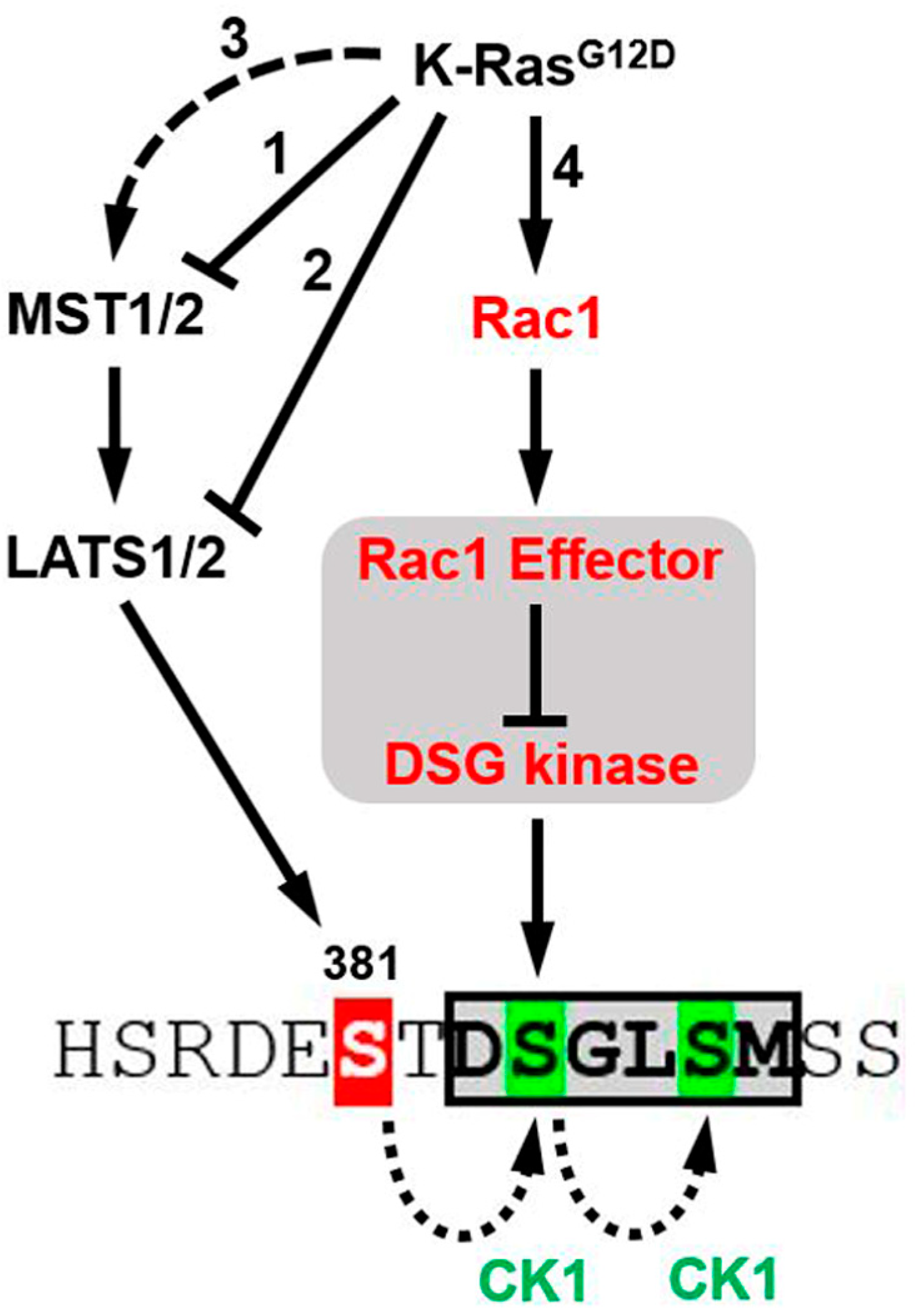 Cancers 16 03605 g005