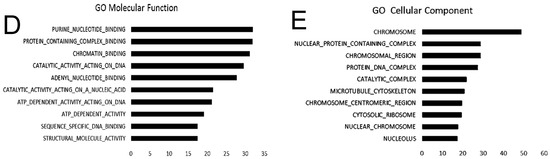 Computer-Aided Identification and Design of Ligands for Multi-Targeting ...