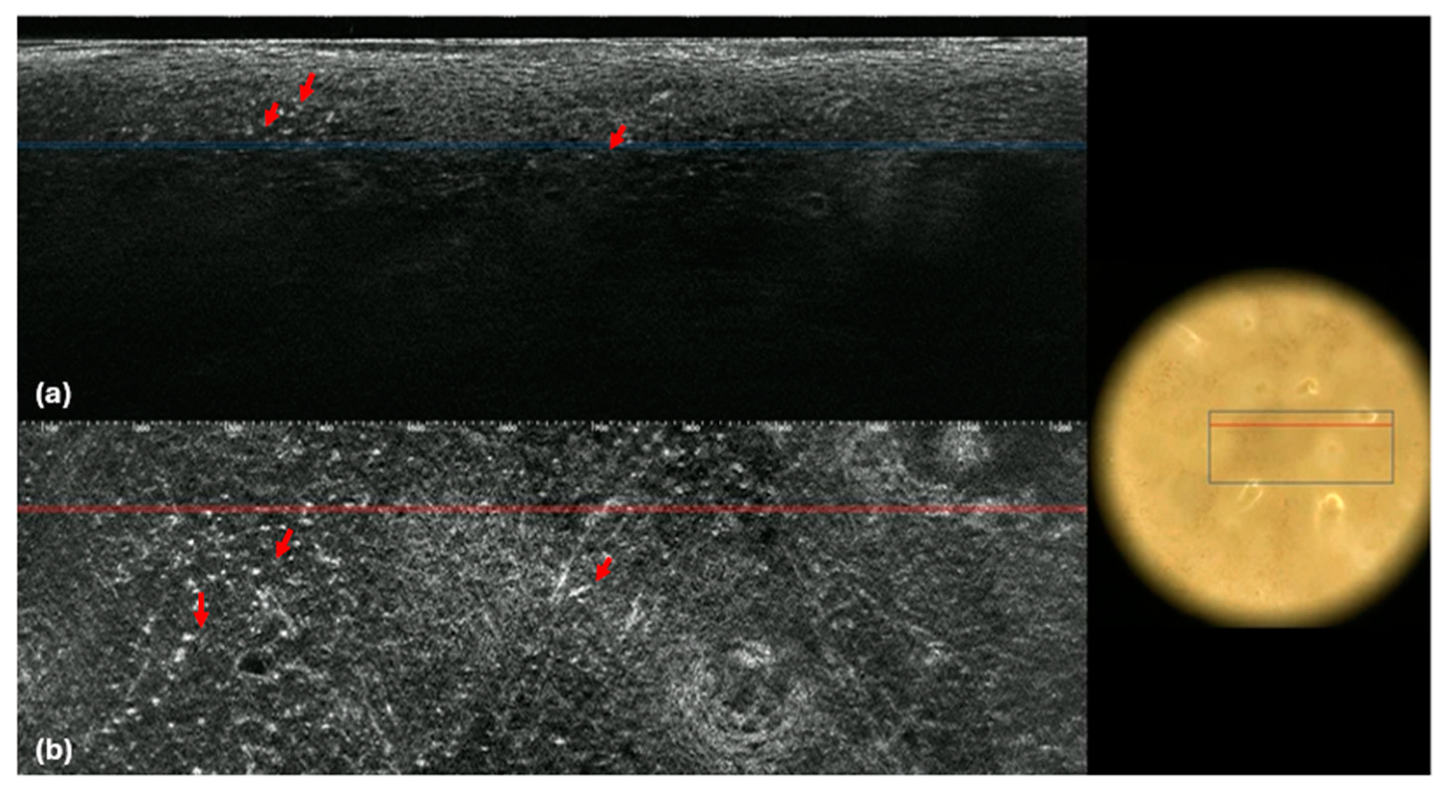 Cancers 16 03608 g003