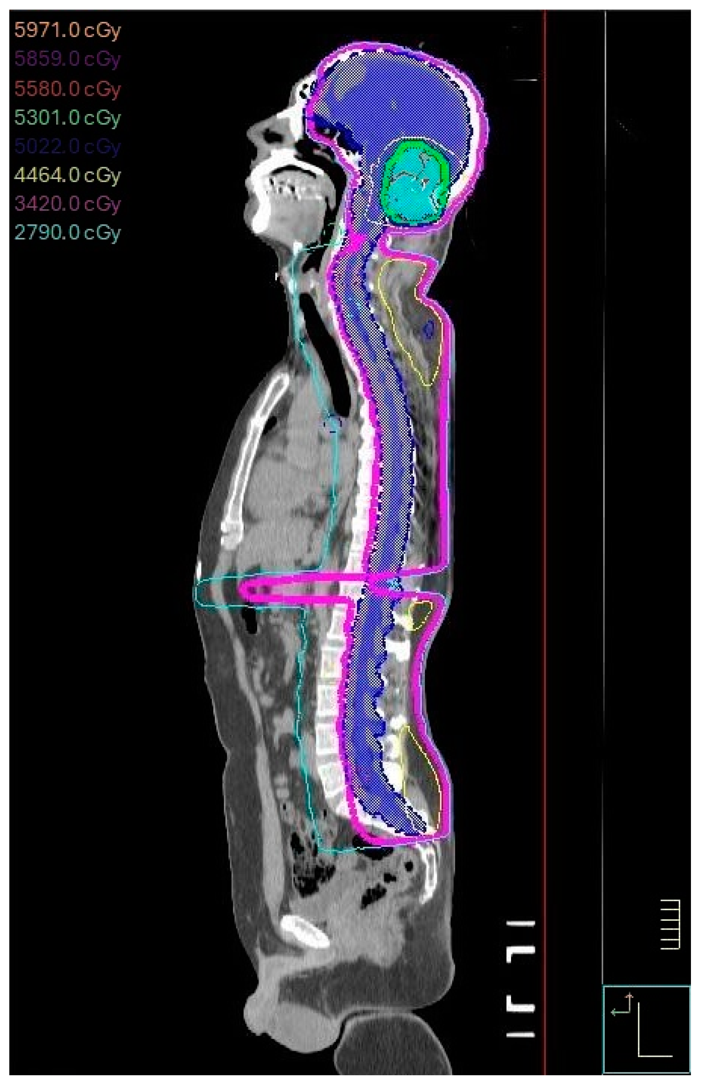 Cancers 16 03609 g001