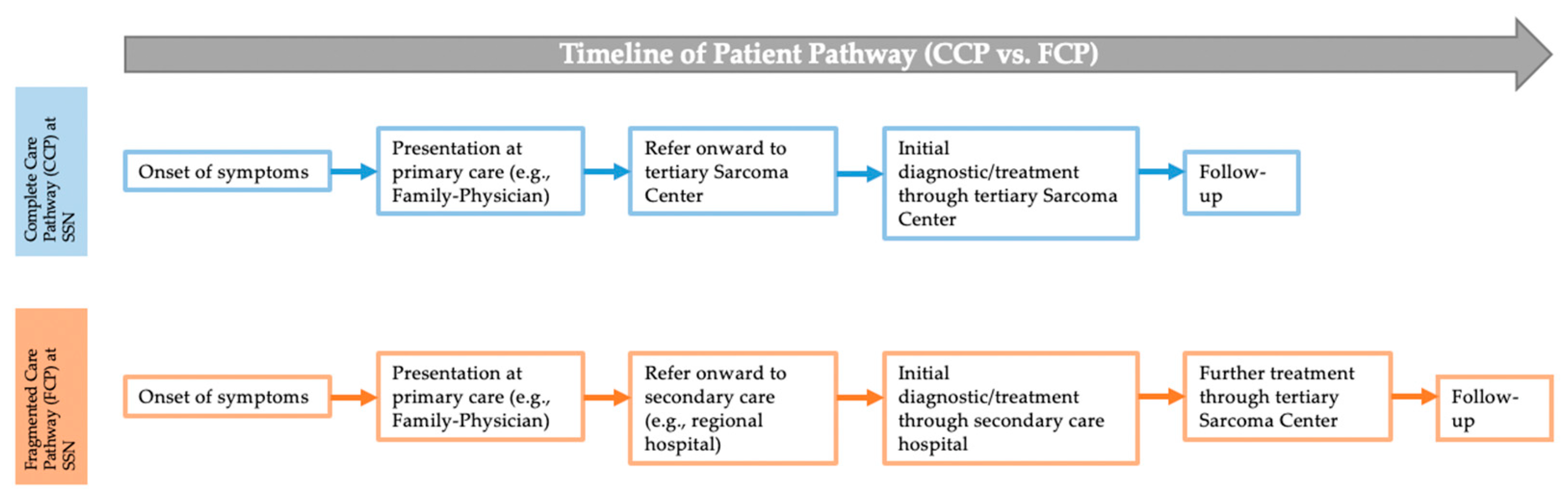 Cancers 16 03616 g001