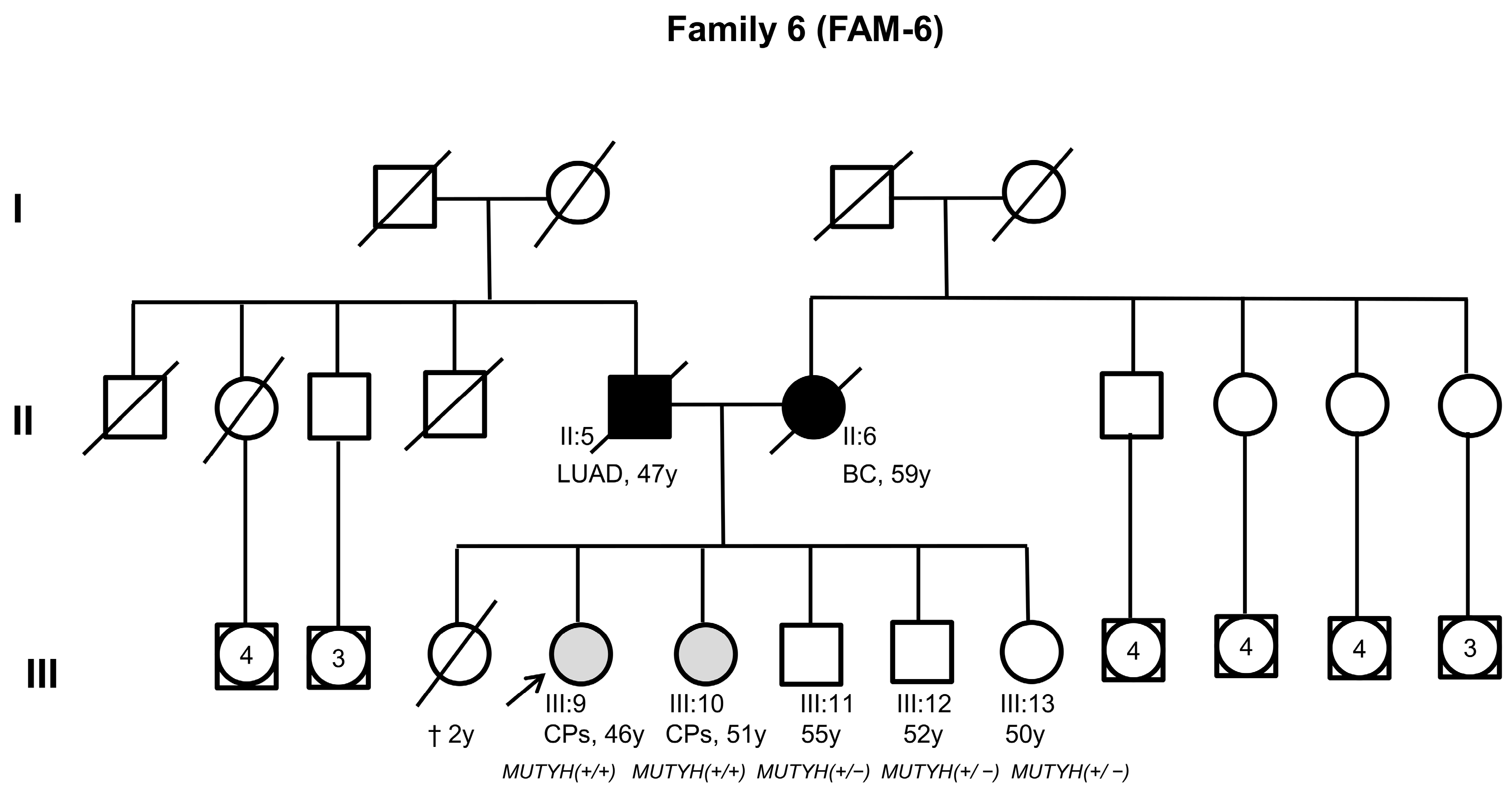 Cancers 16 03617 g002