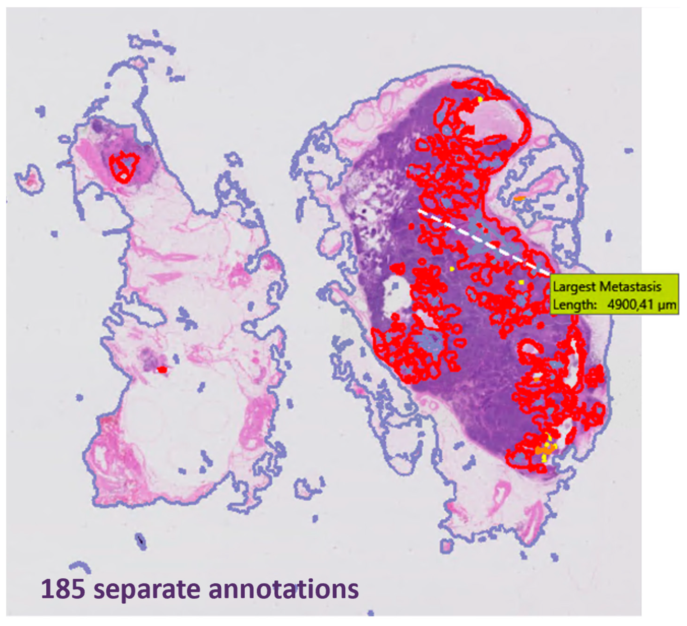 Cancers 16 03619 g003