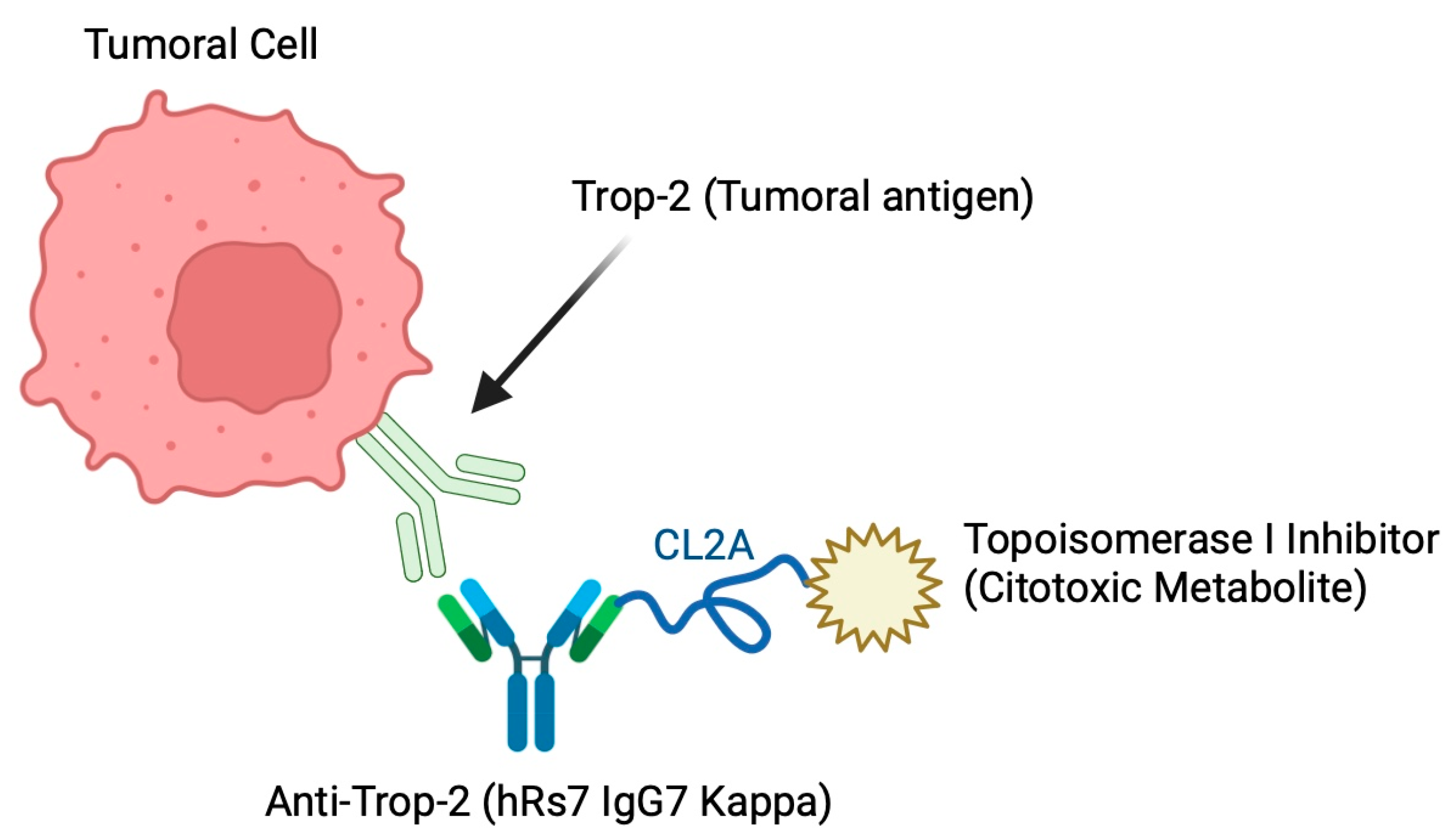 Cancers 16 03622 g001