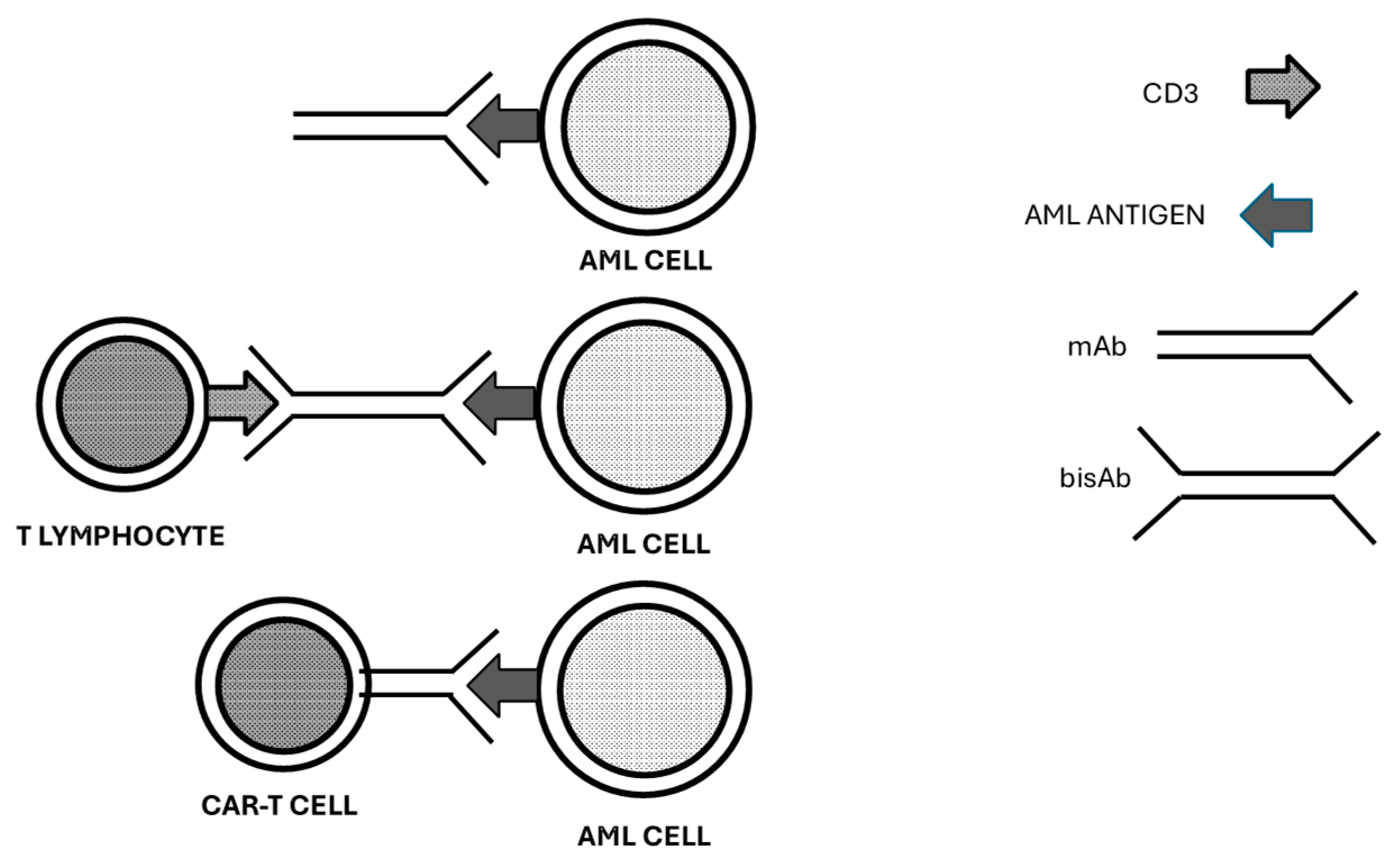 Cancers 16 03627 g001