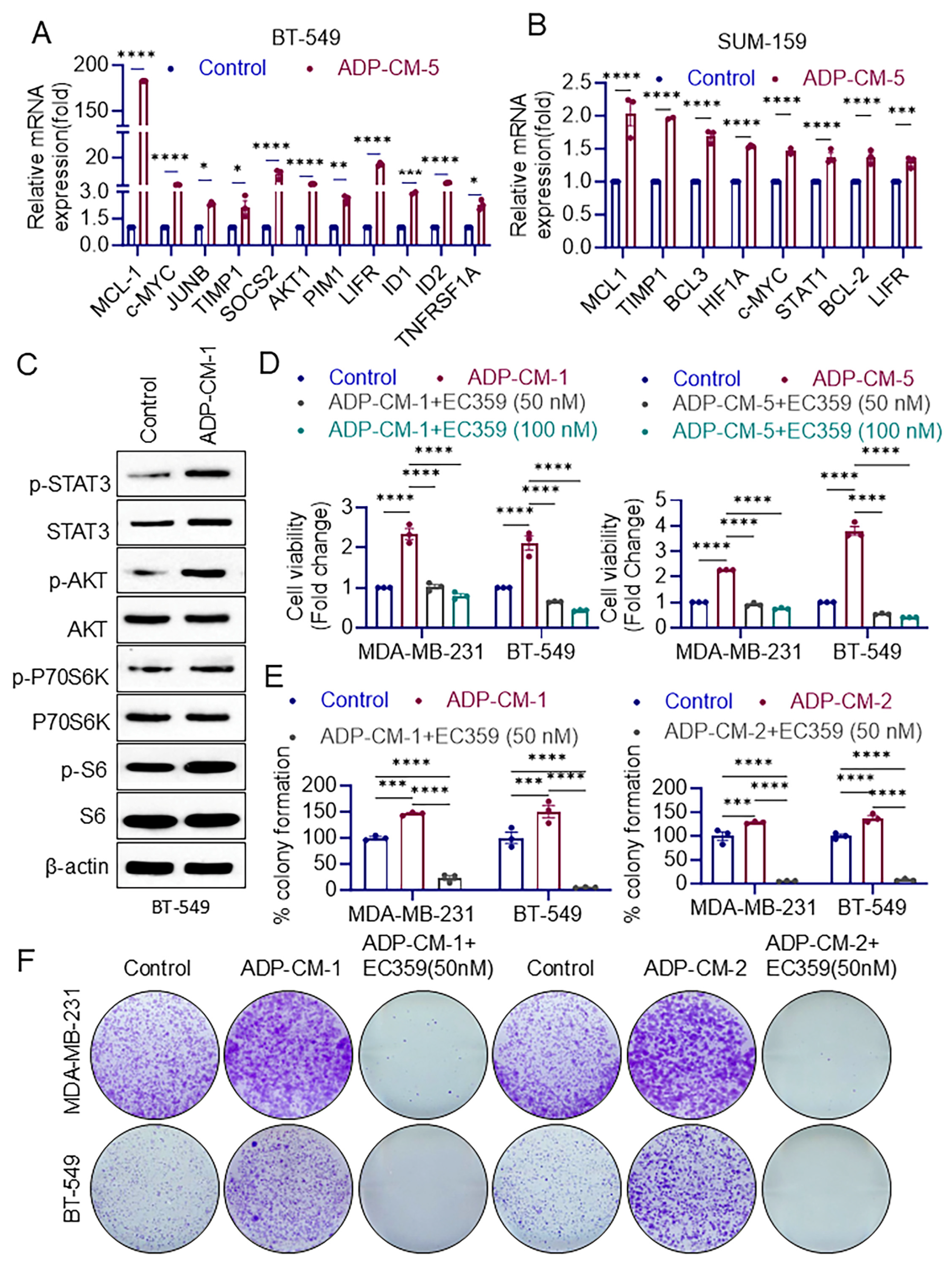 Cancers 16 03630 g001 Cancers 16 03630 g001