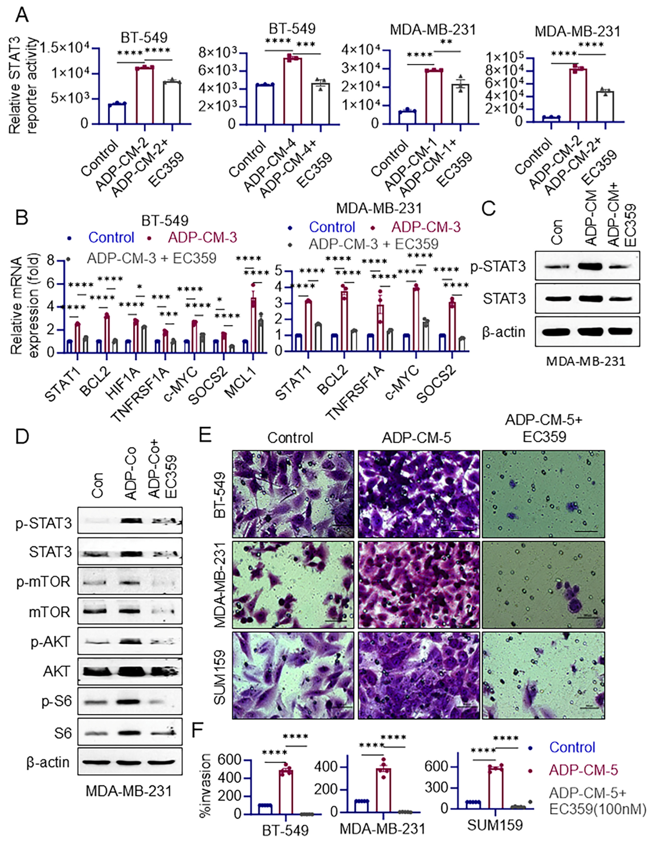 Cancers 16 03630 g002 Cancers 16 03630 g002