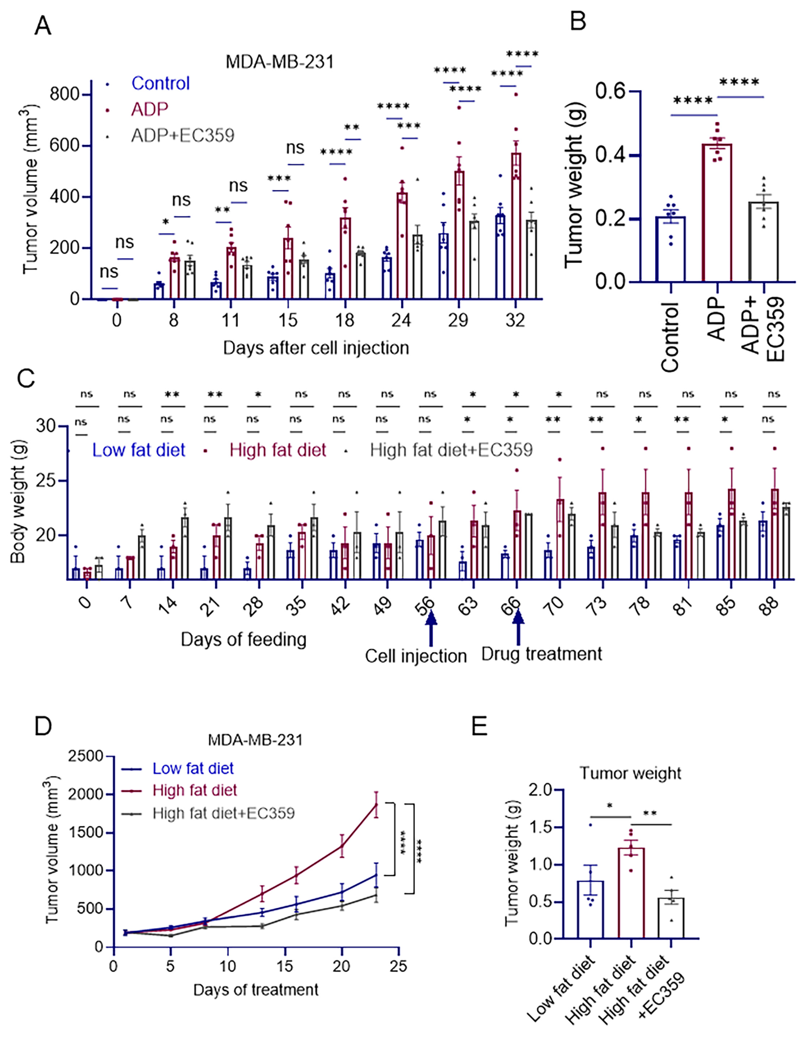Cancers 16 03630 g003 Cancers 16 03630 g003
