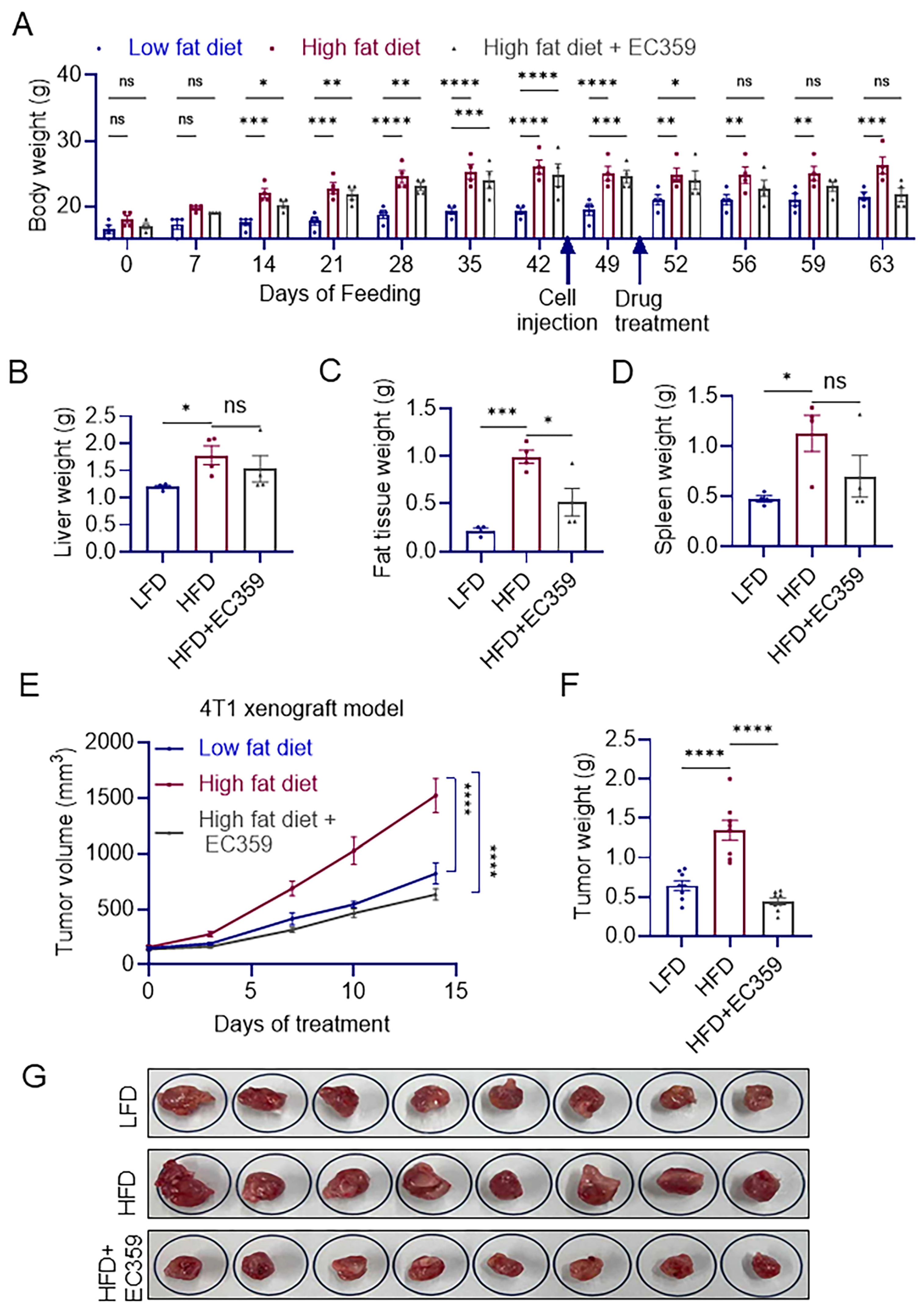 Cancers 16 03630 g004 Cancers 16 03630 g004