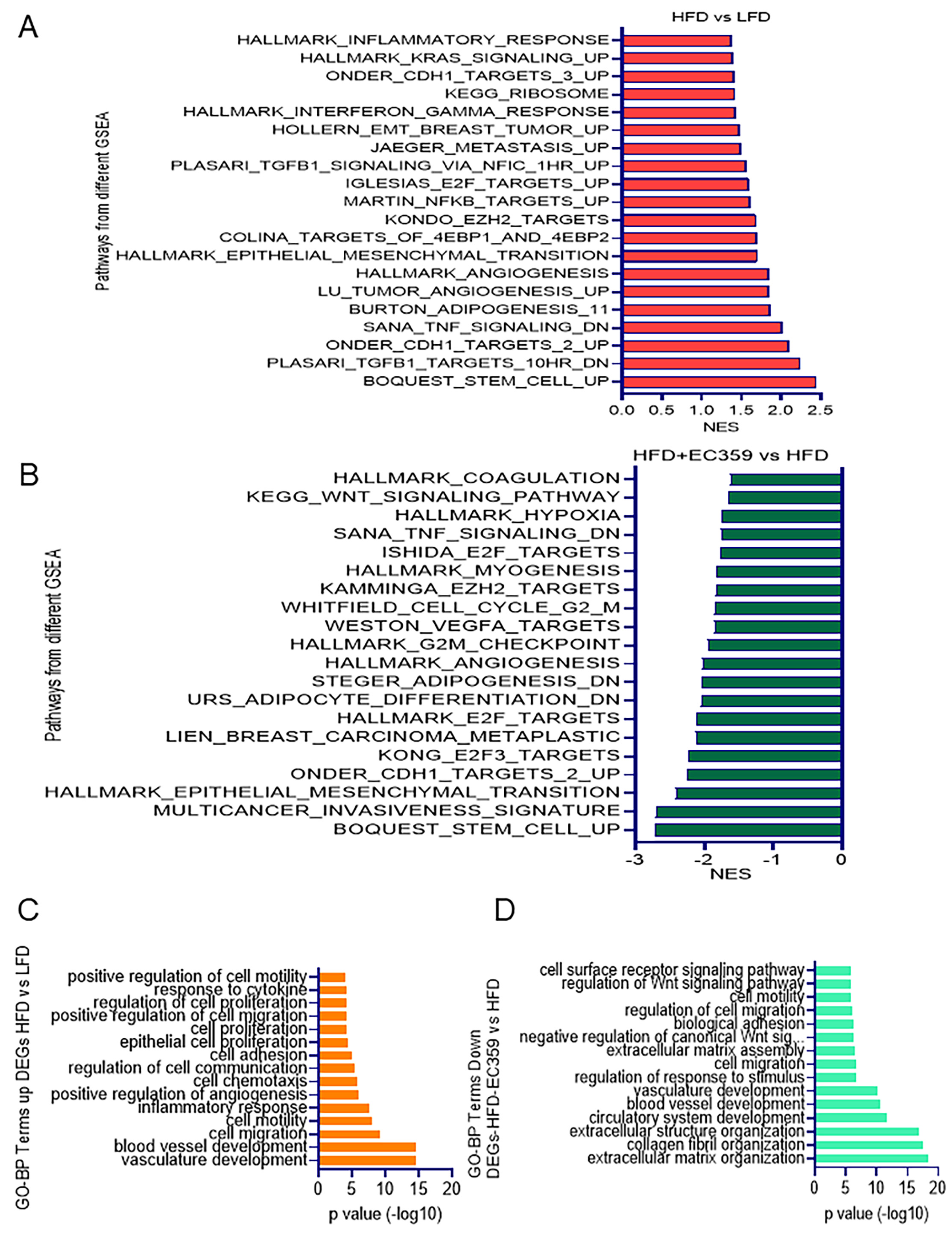 Cancers 16 03630 g005 Cancers 16 03630 g005