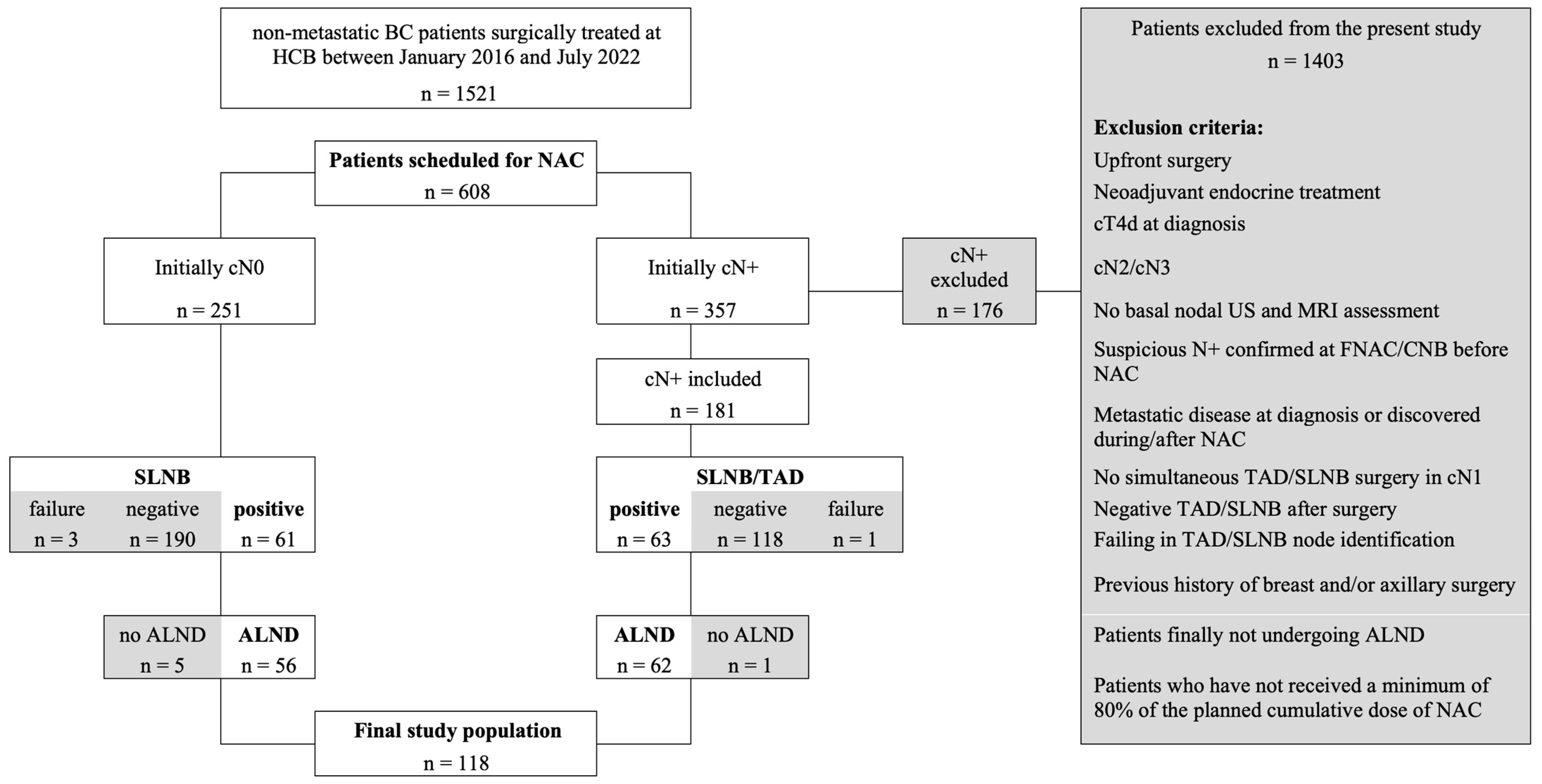 Cancers 16 03638 g001